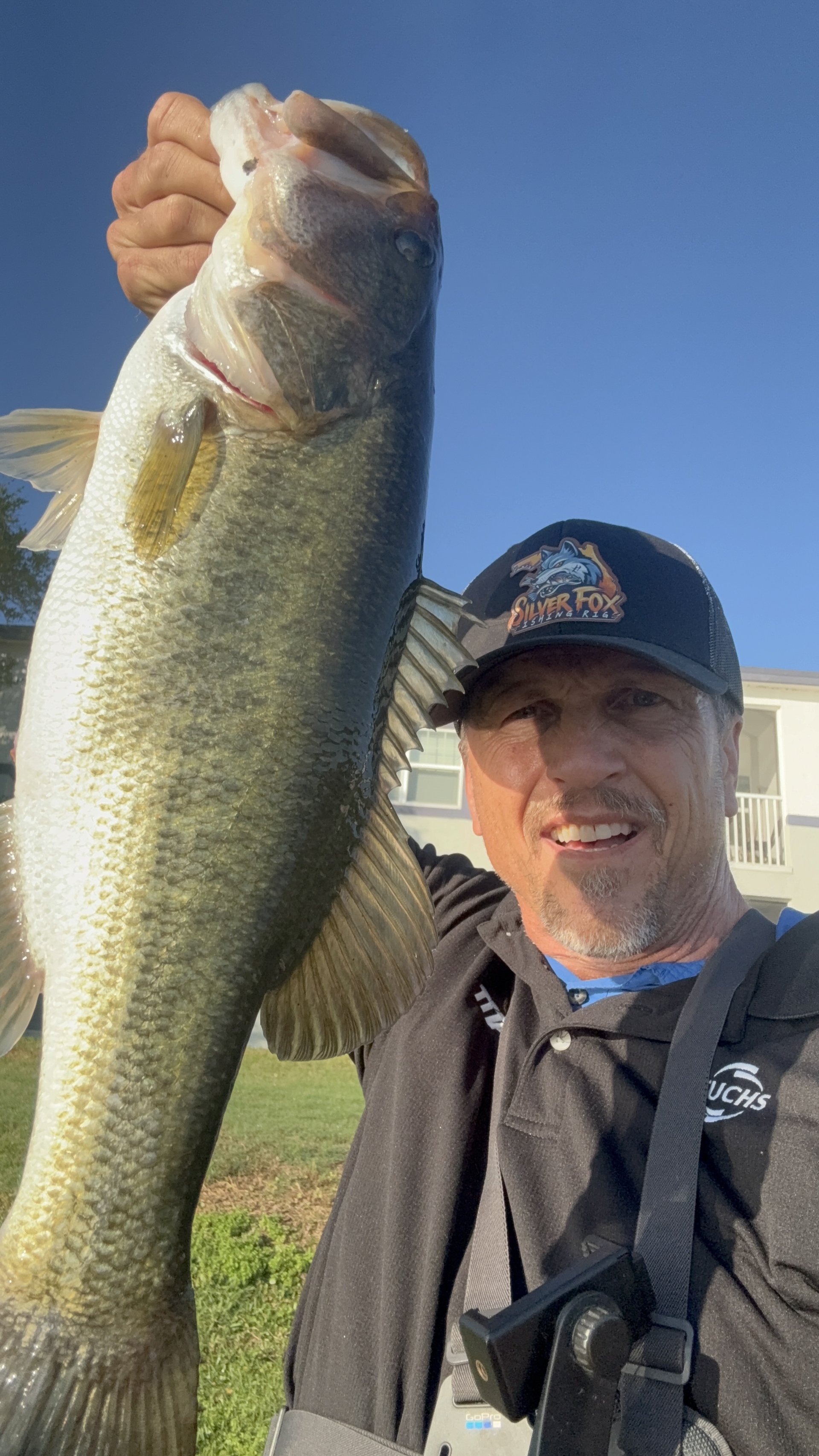 Largemouth Bass