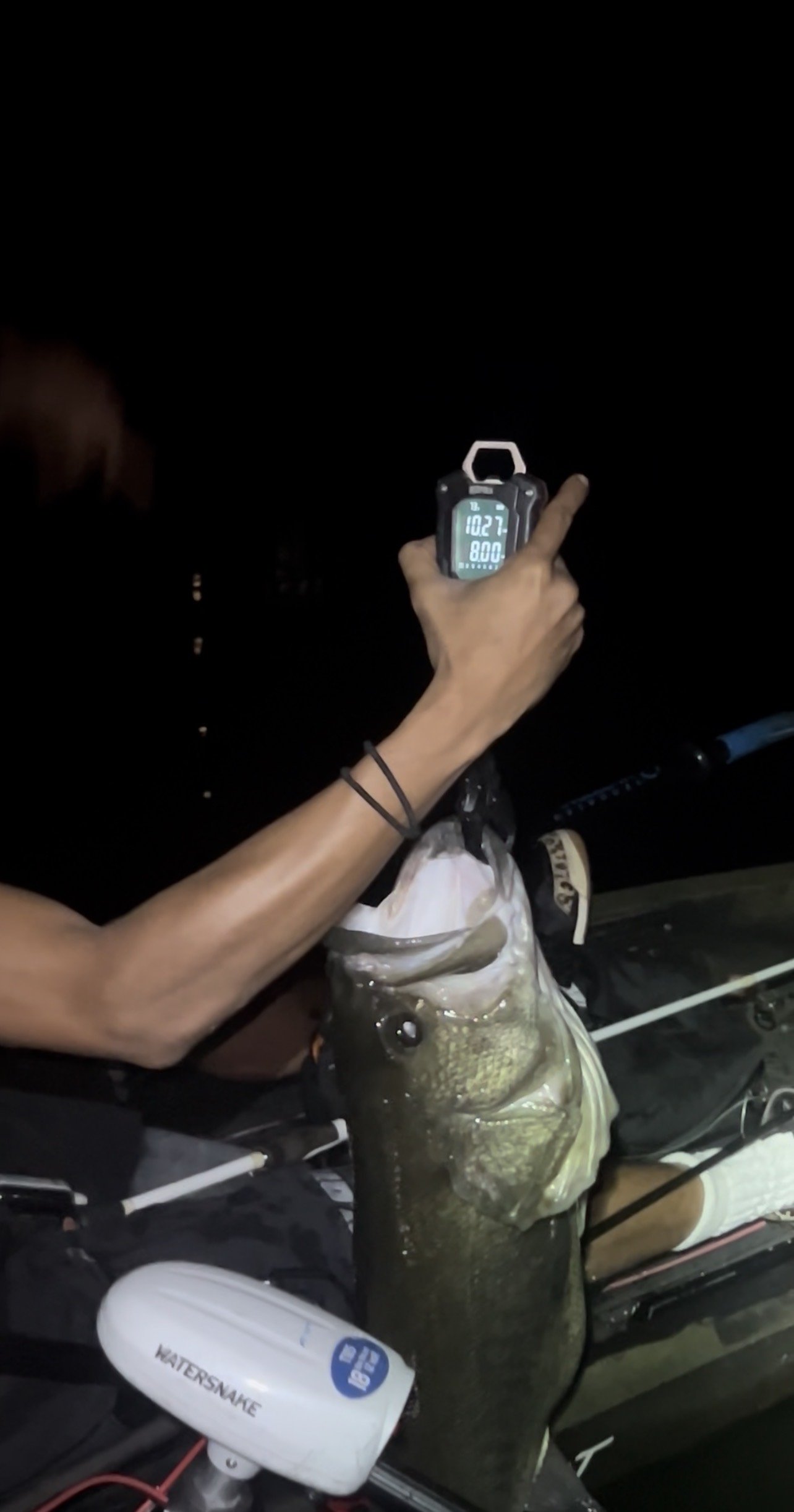 Largemouth Bass