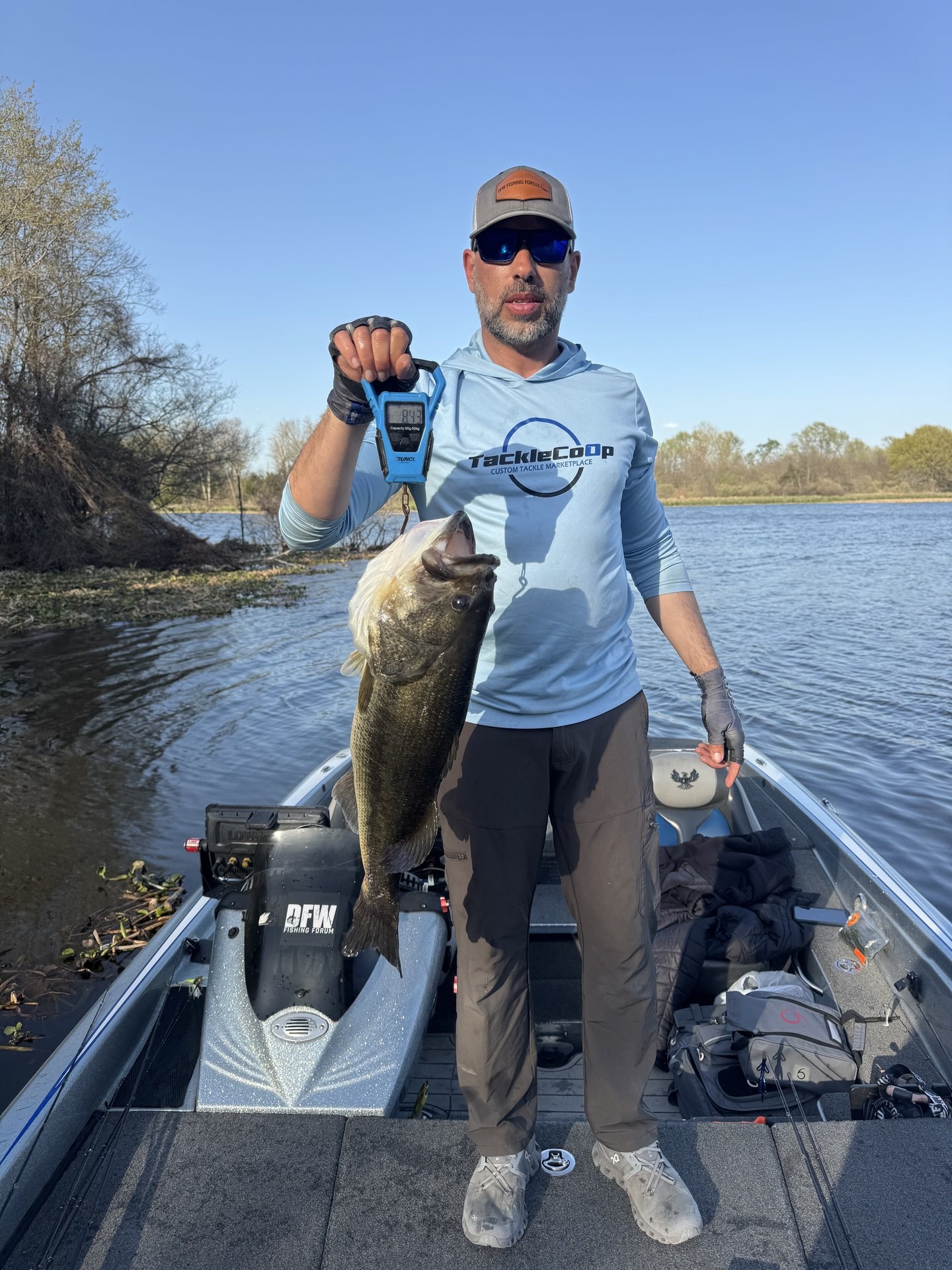 Largemouth Bass