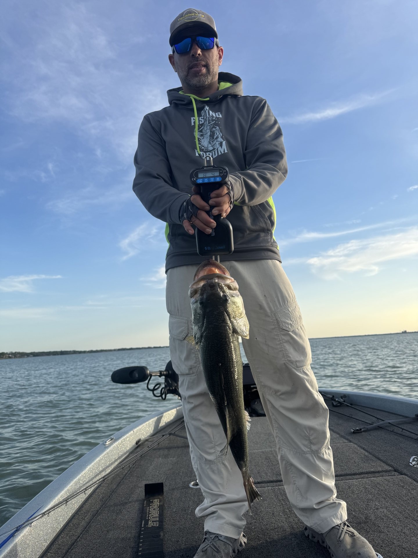 Largemouth Bass