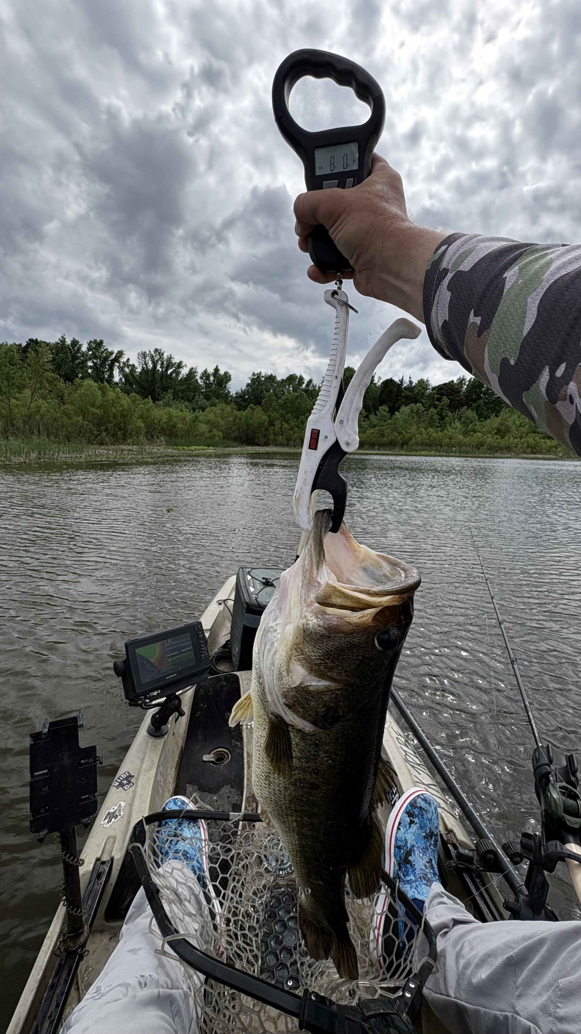 Largemouth Bass