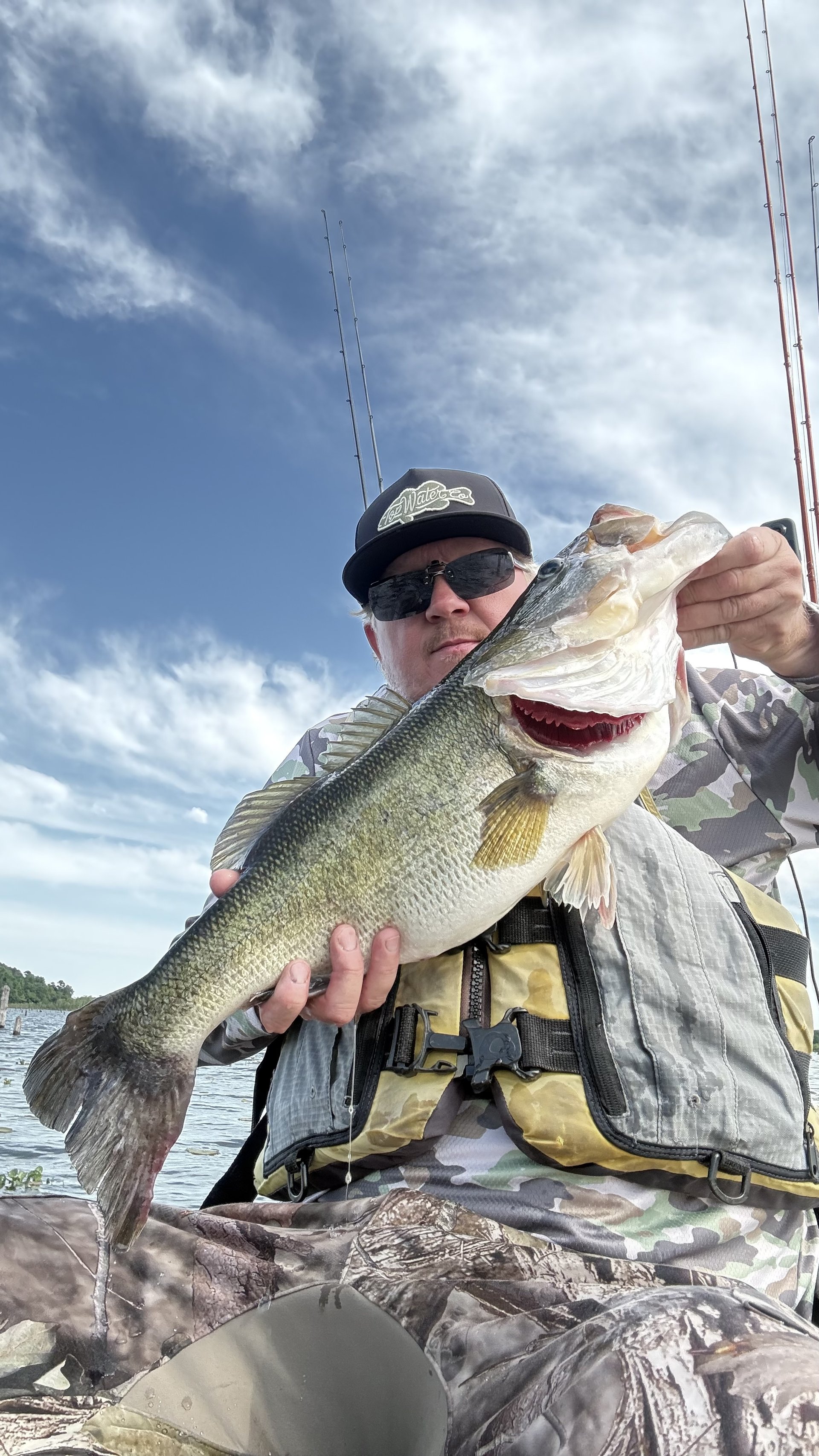 Largemouth Bass