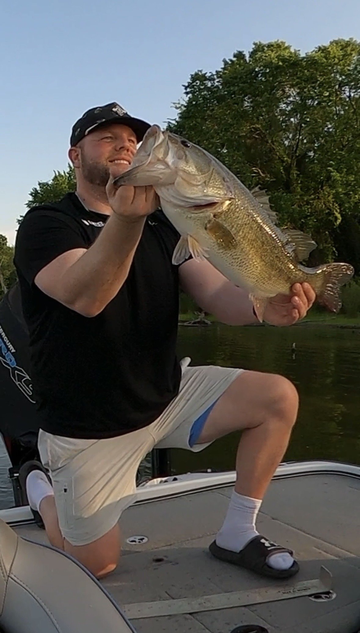 Largemouth Bass