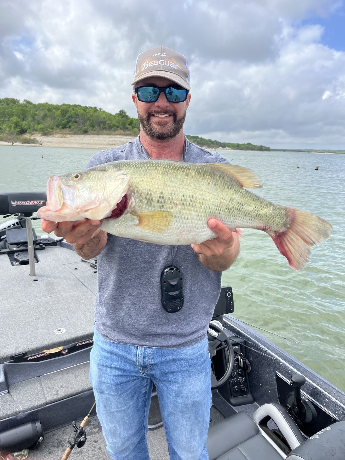 Largemouth Bass