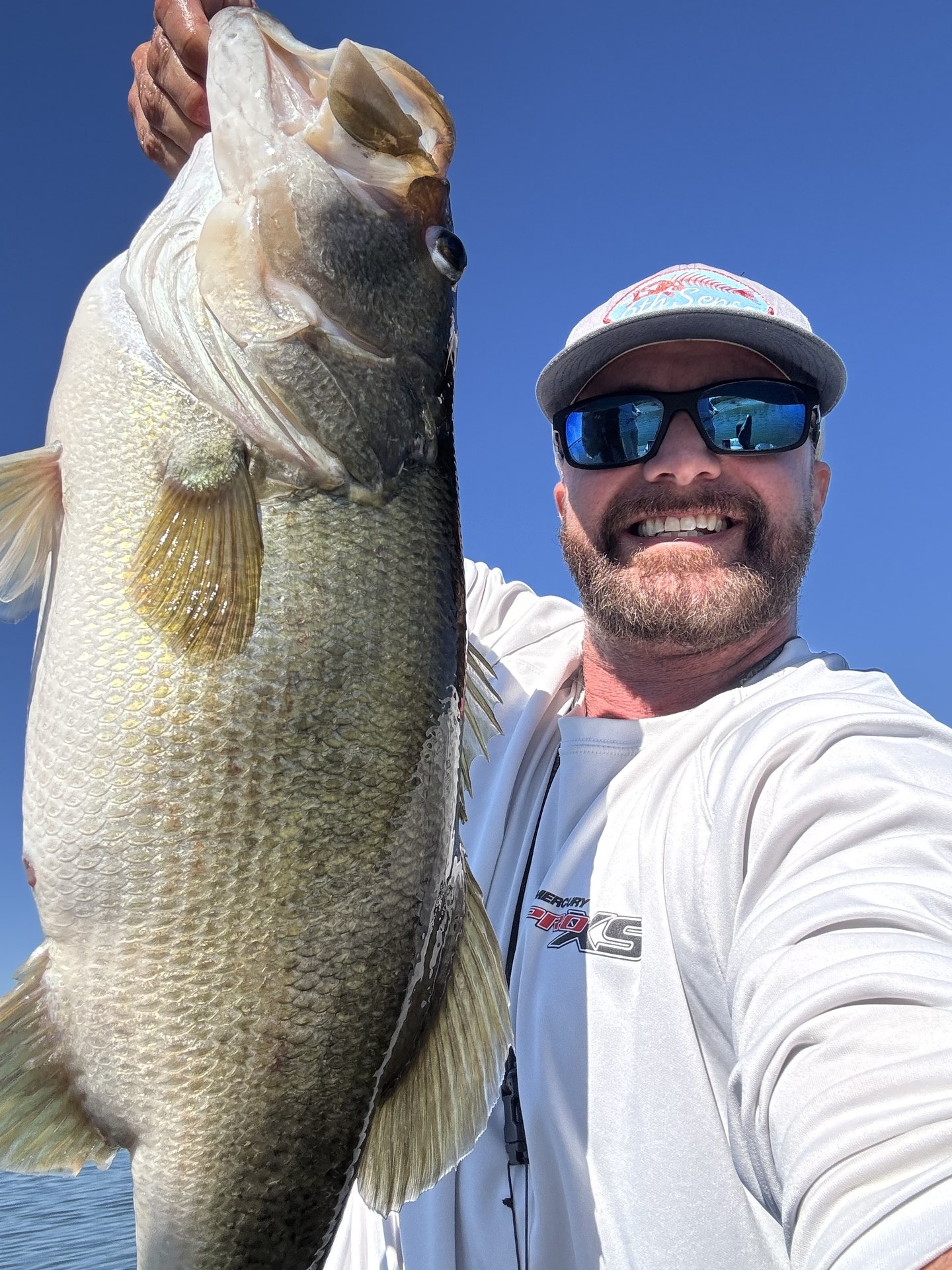 Largemouth Bass