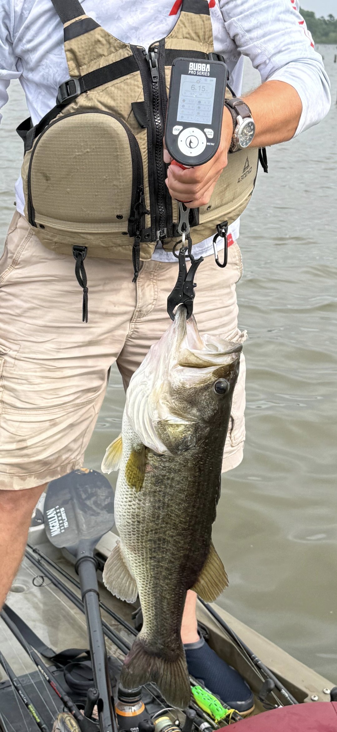 Largemouth Bass