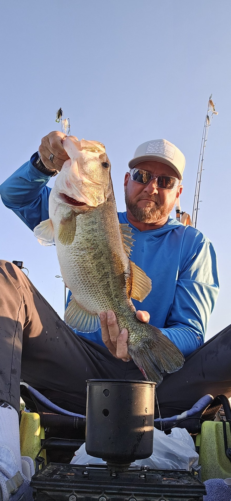 Largemouth Bass