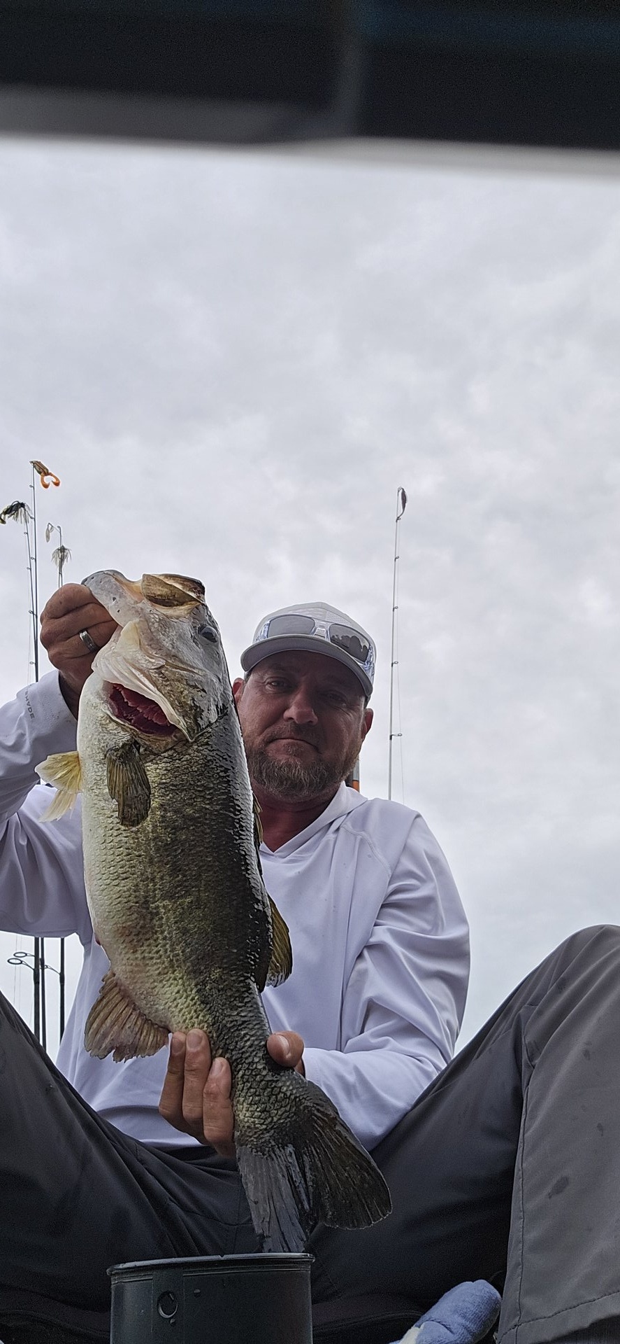 Largemouth Bass