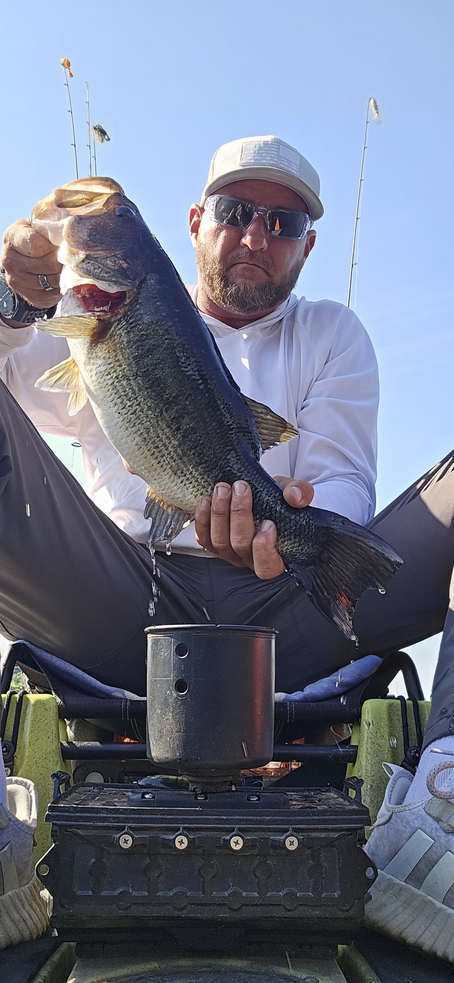Largemouth Bass