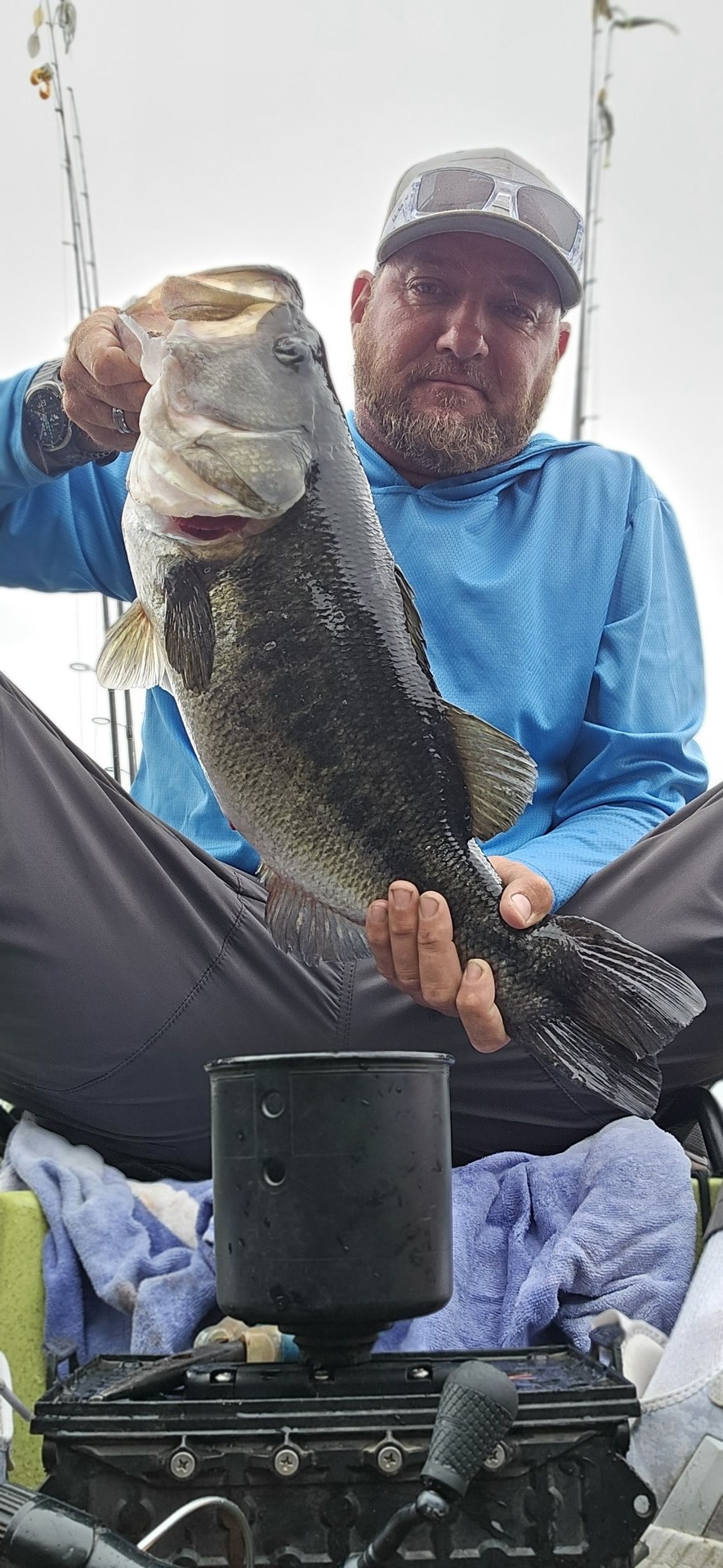 Largemouth Bass
