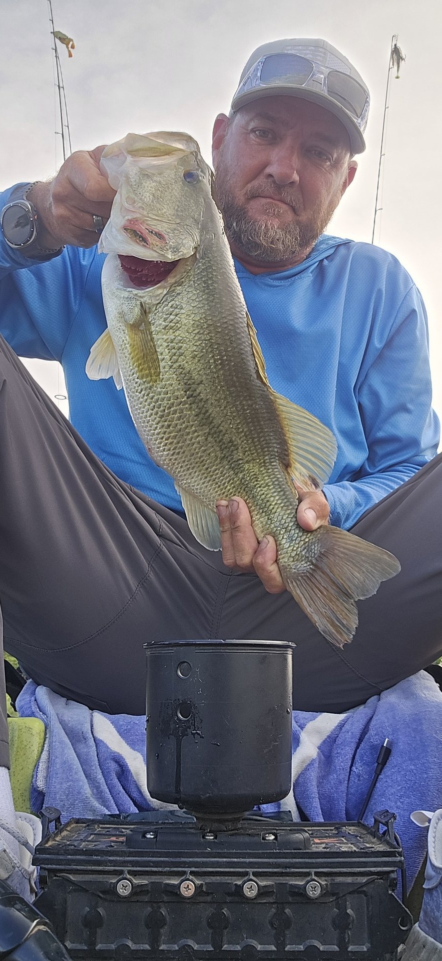 Largemouth Bass
