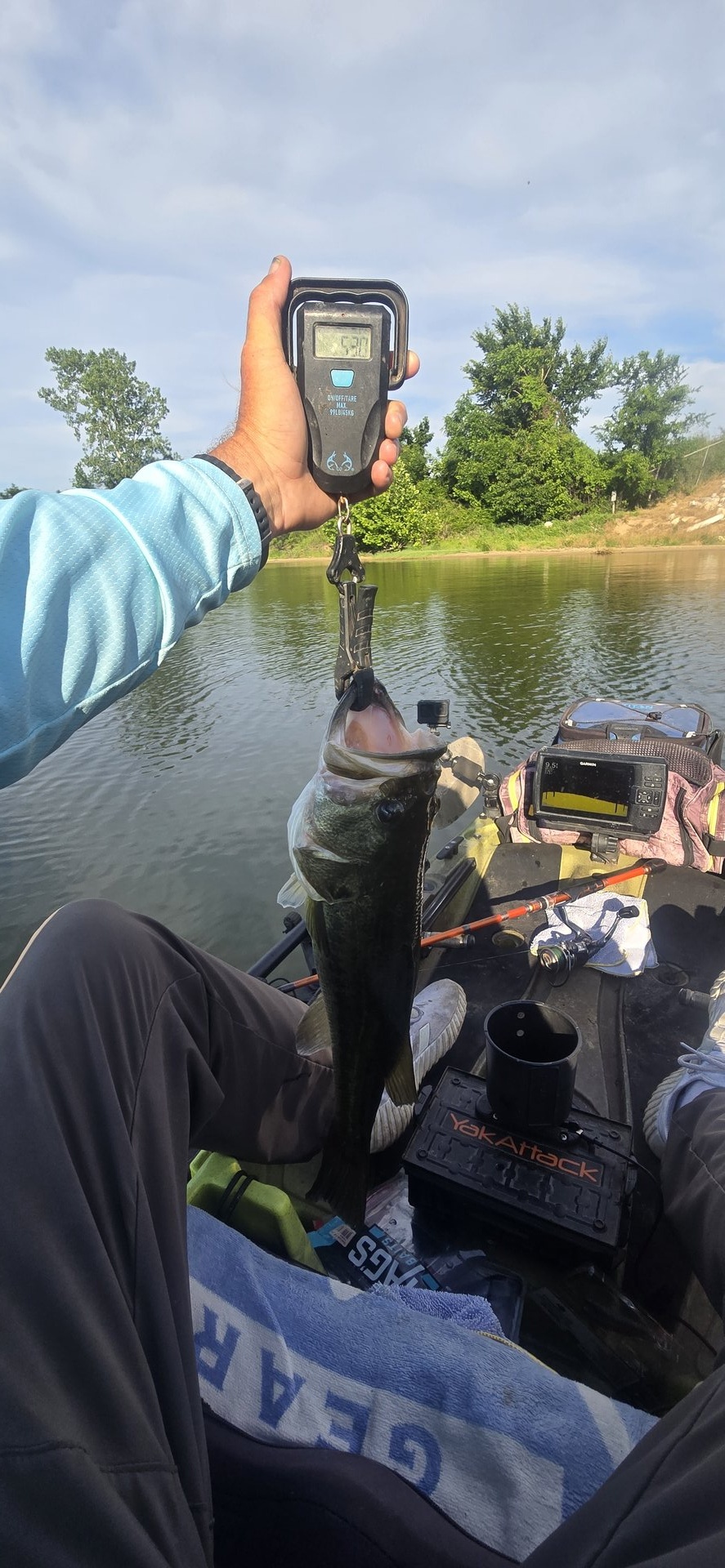 Largemouth Bass