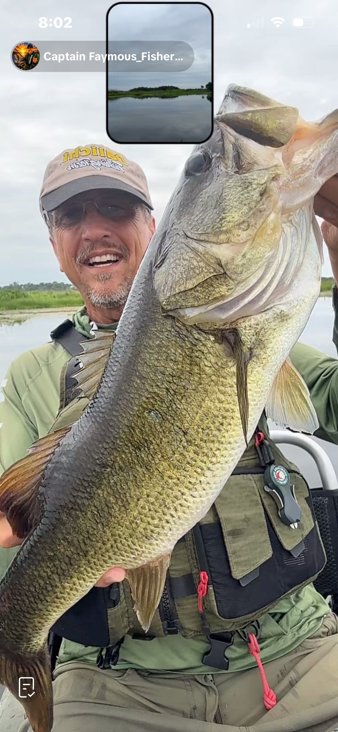 Largemouth Bass