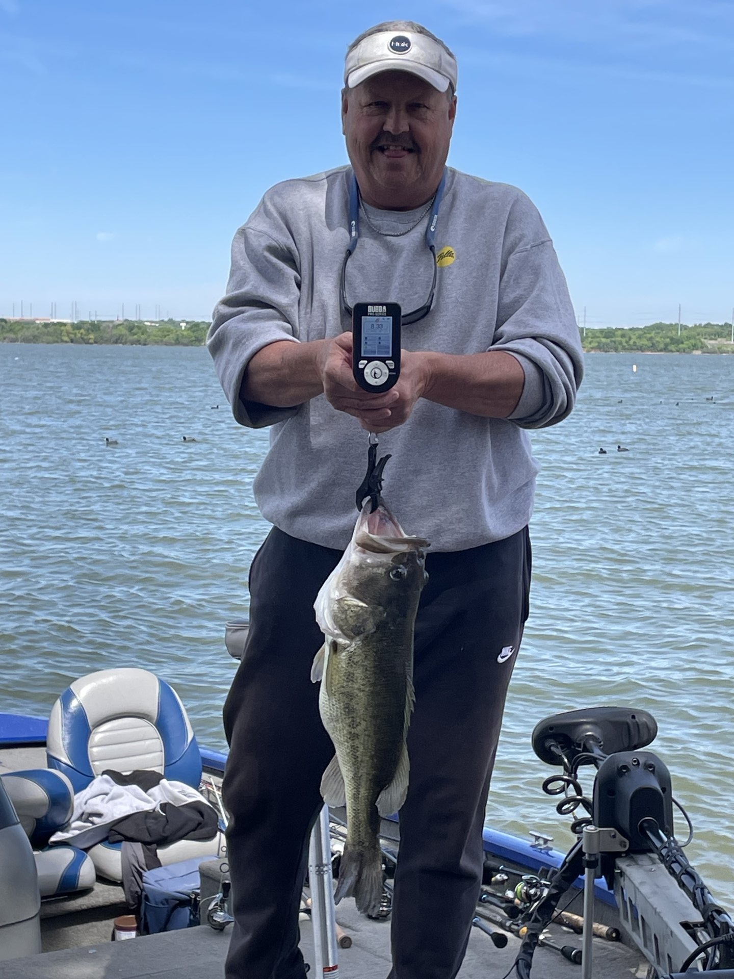 Largemouth Bass