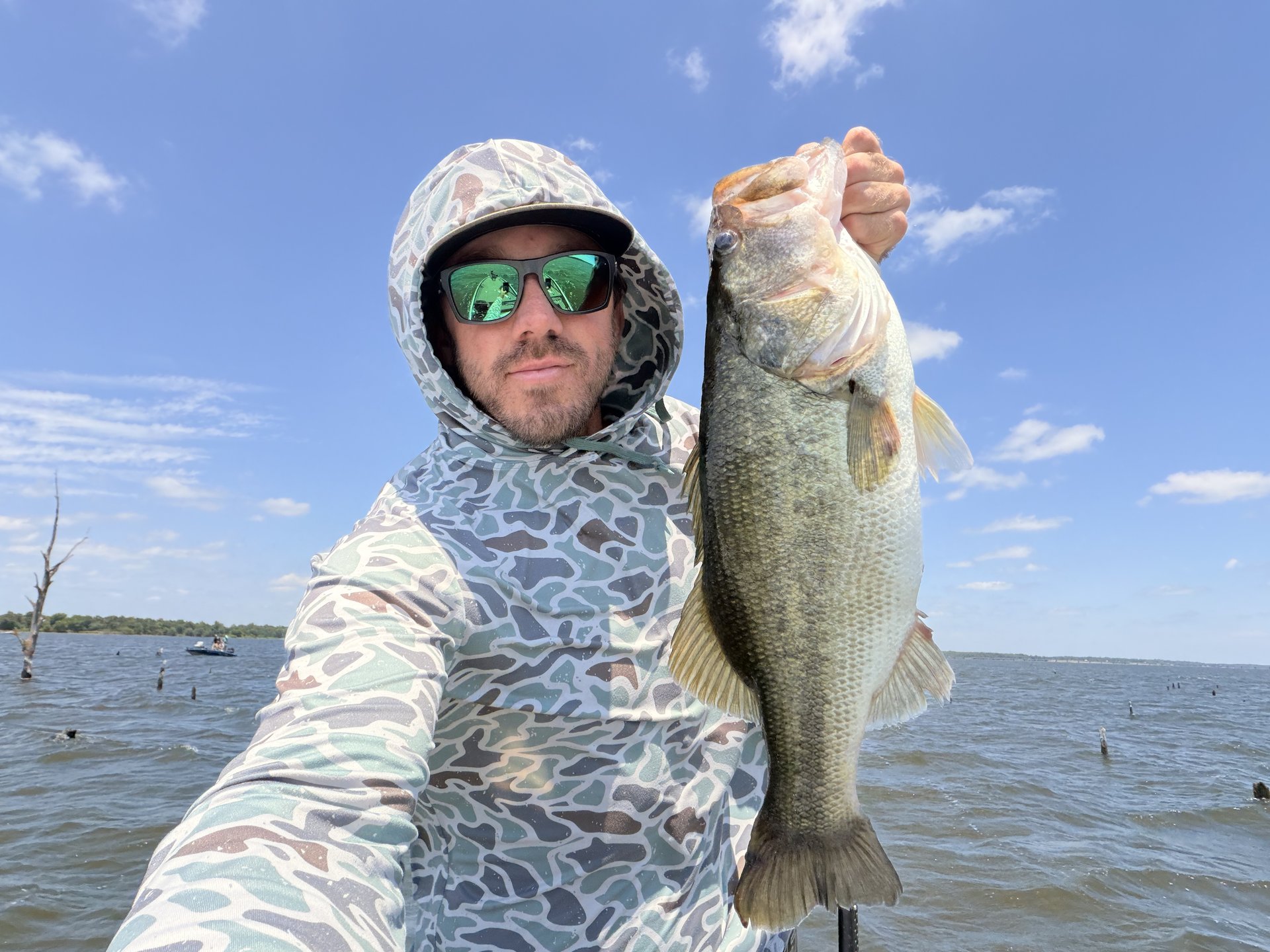Largemouth Bass