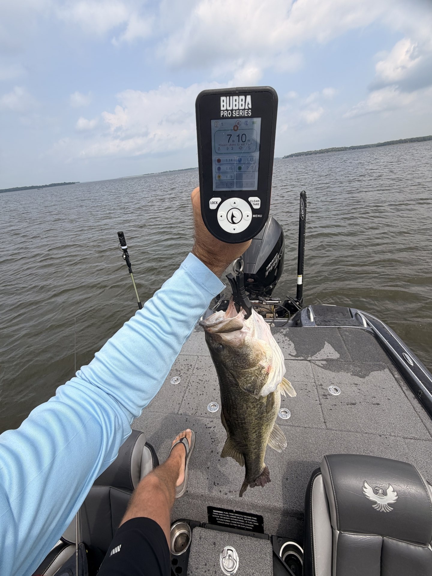 Largemouth Bass