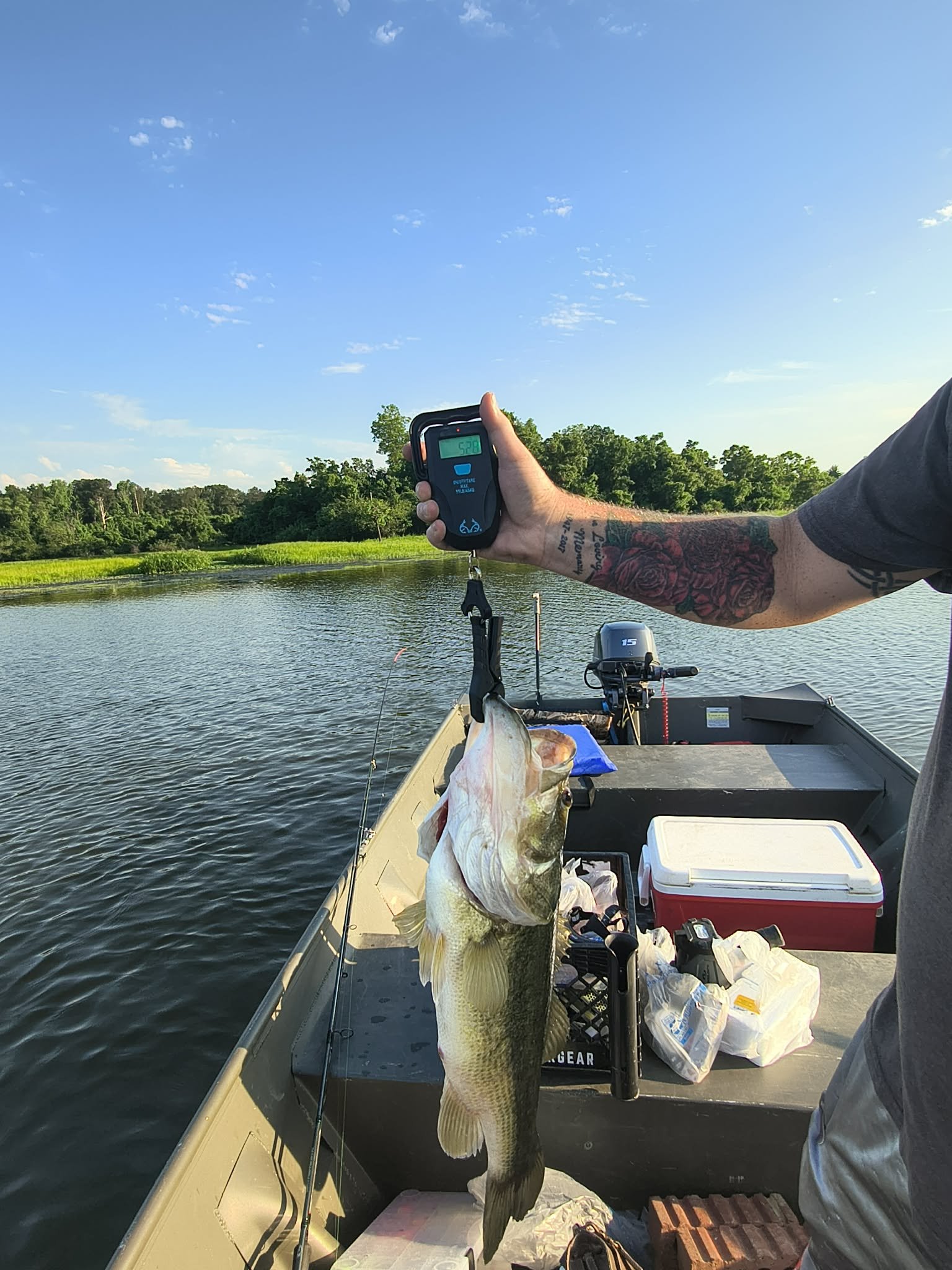 Largemouth Bass