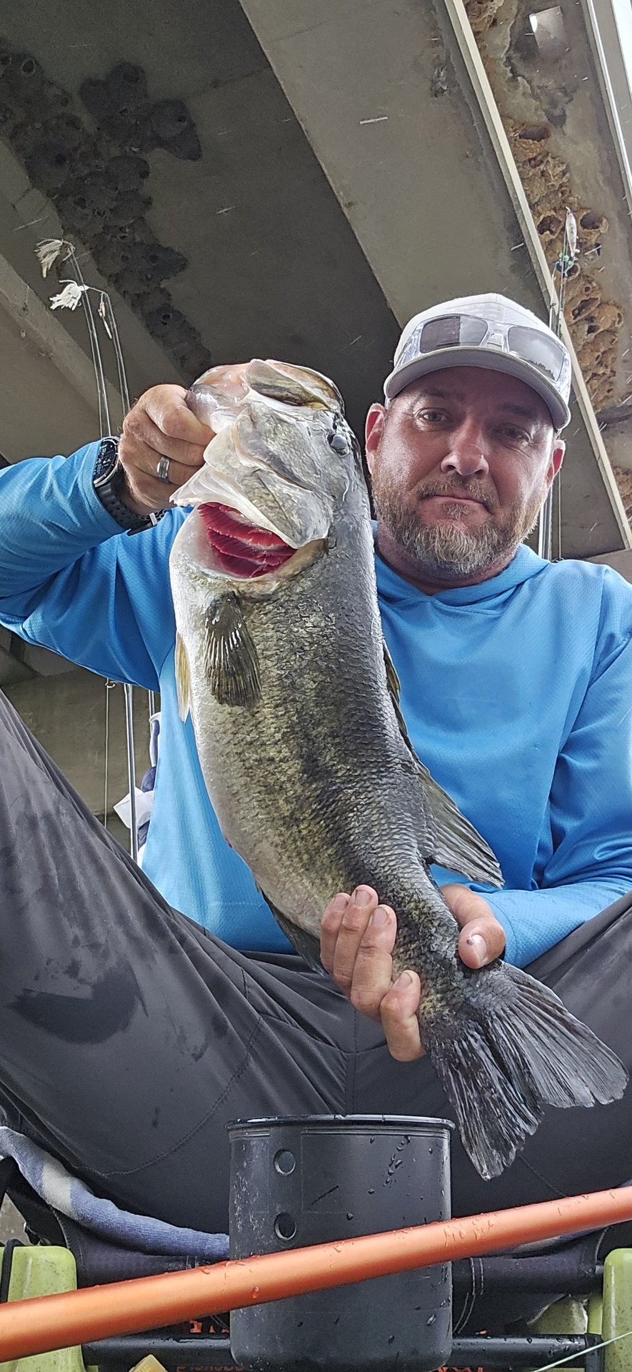 Largemouth Bass