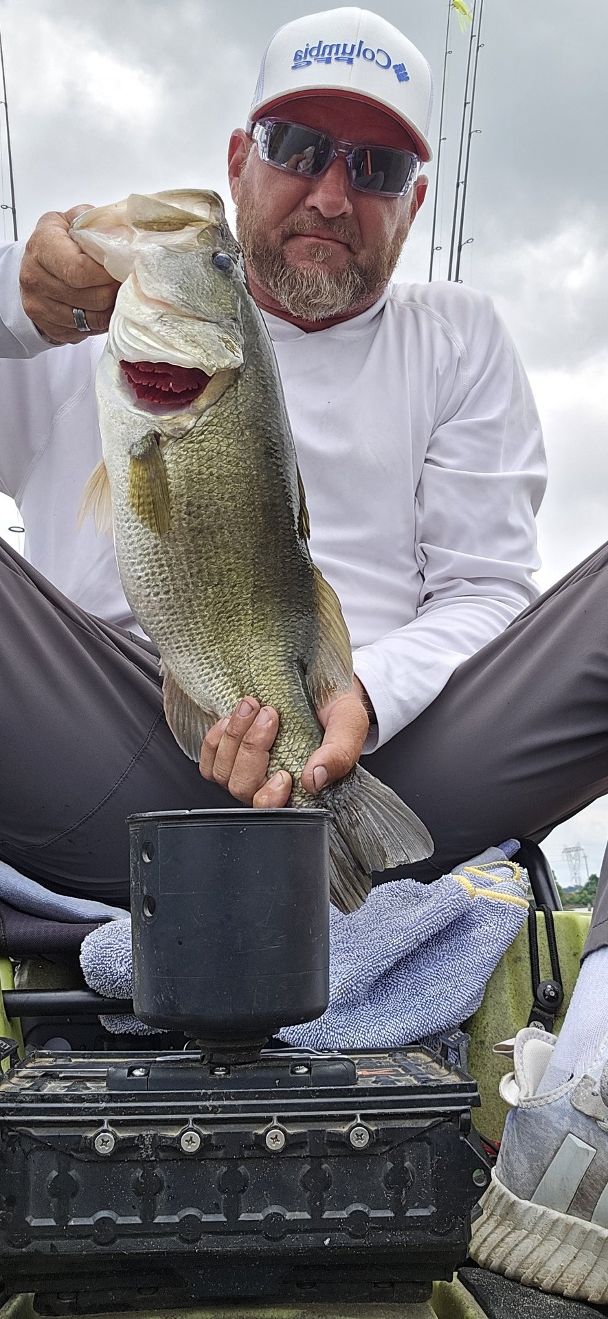 Largemouth Bass