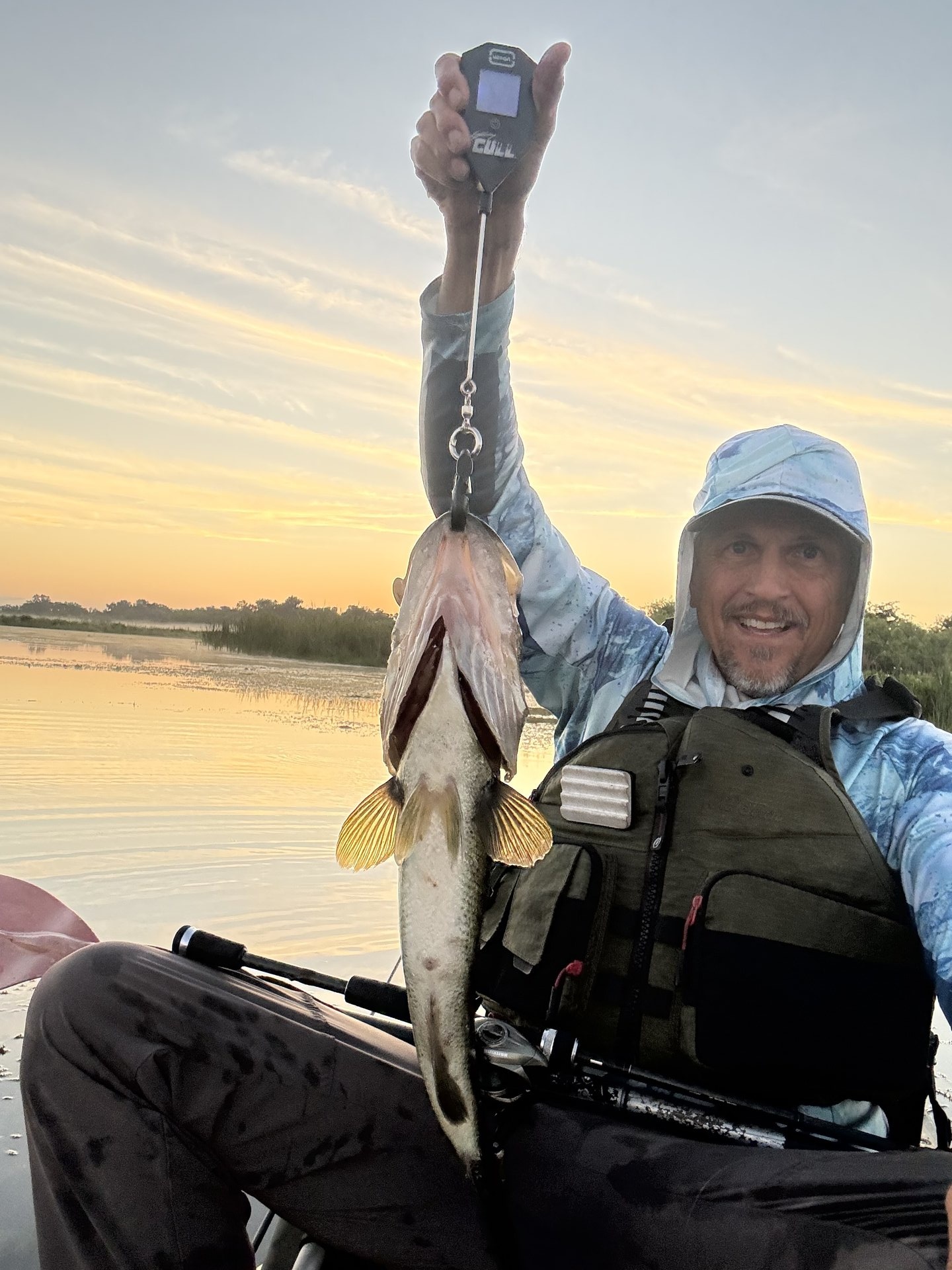 Largemouth Bass