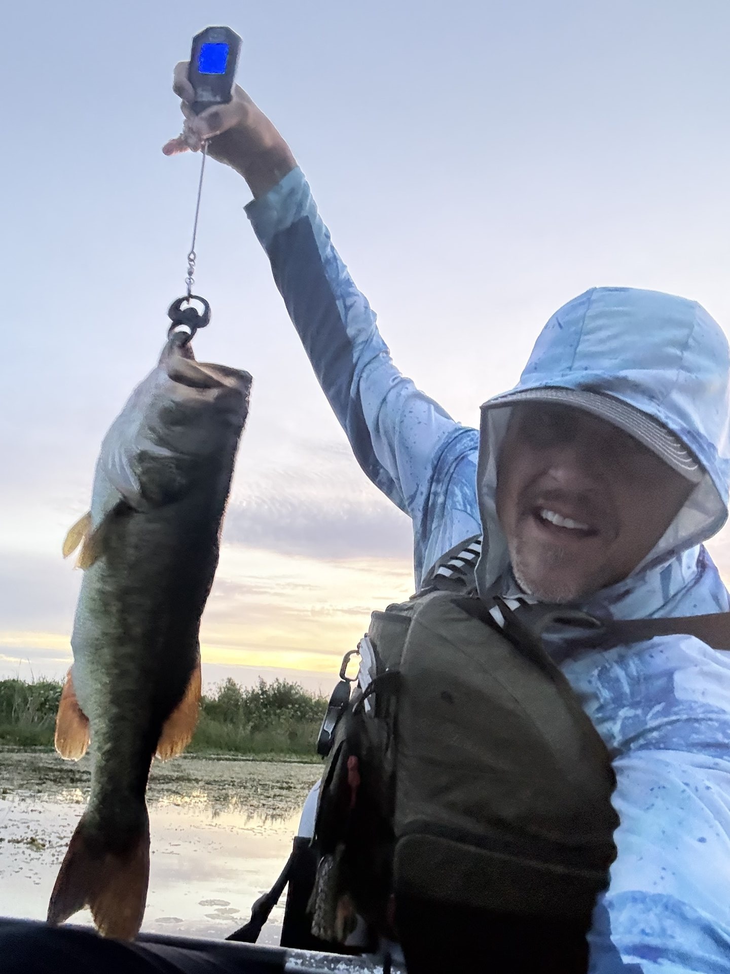 Largemouth Bass