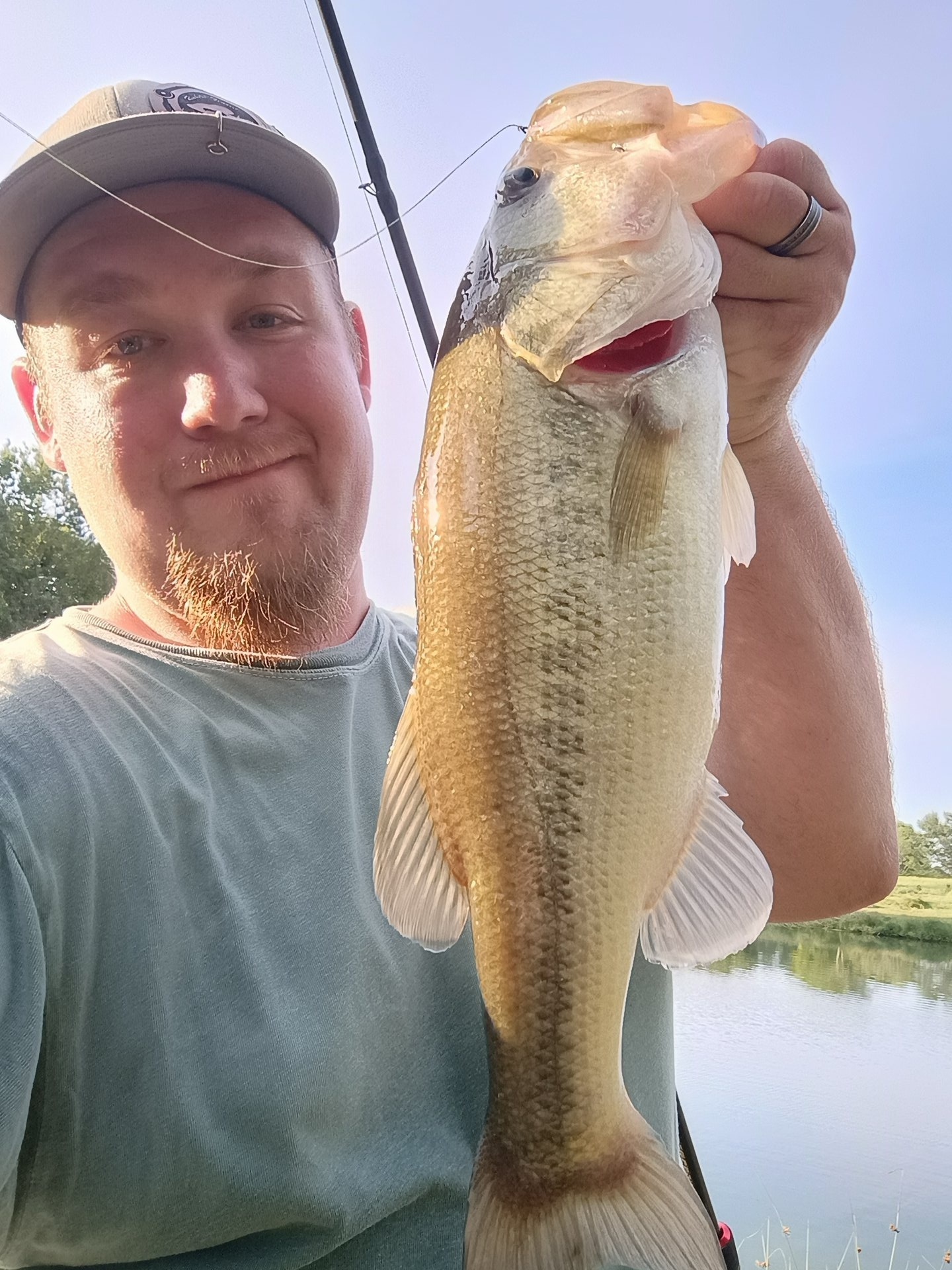 Largemouth Bass