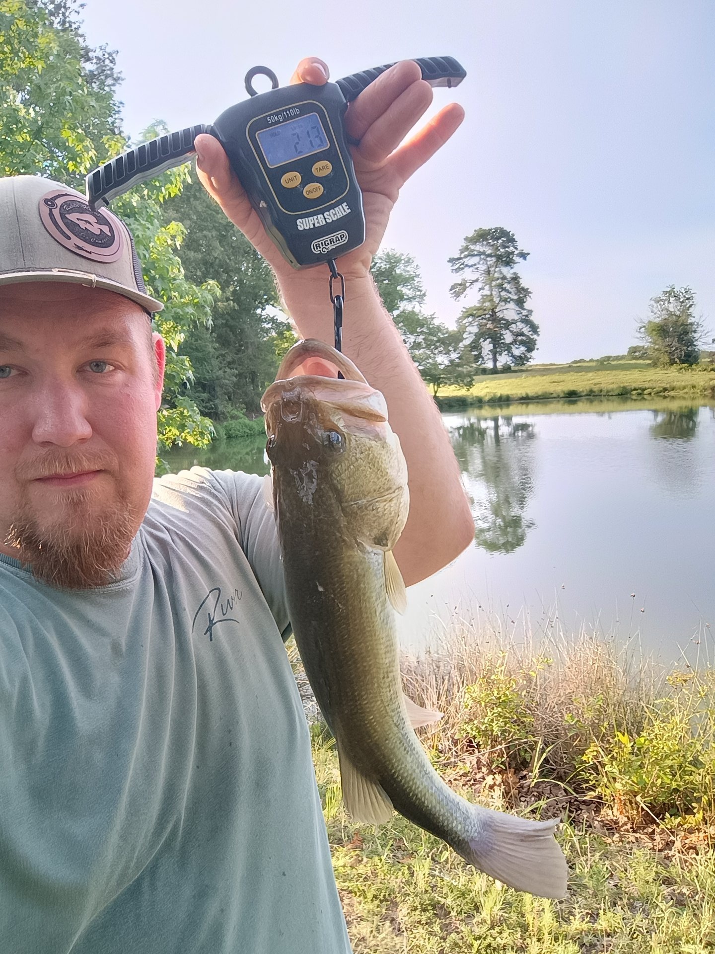 Largemouth Bass