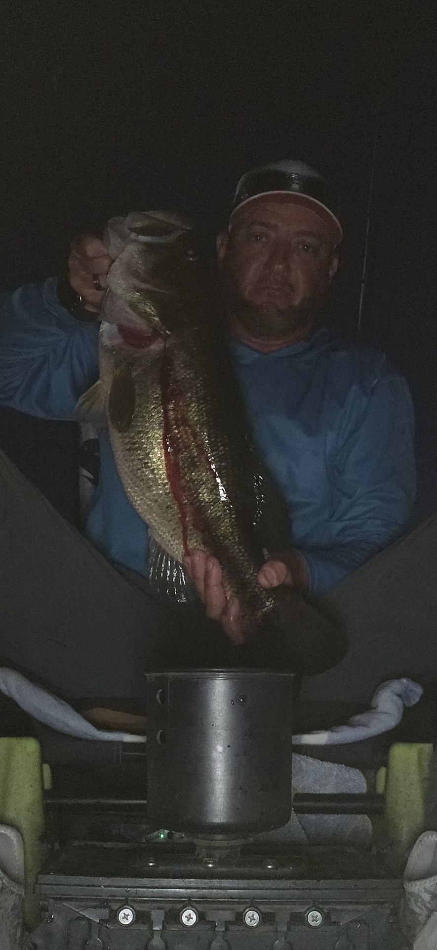 Largemouth Bass