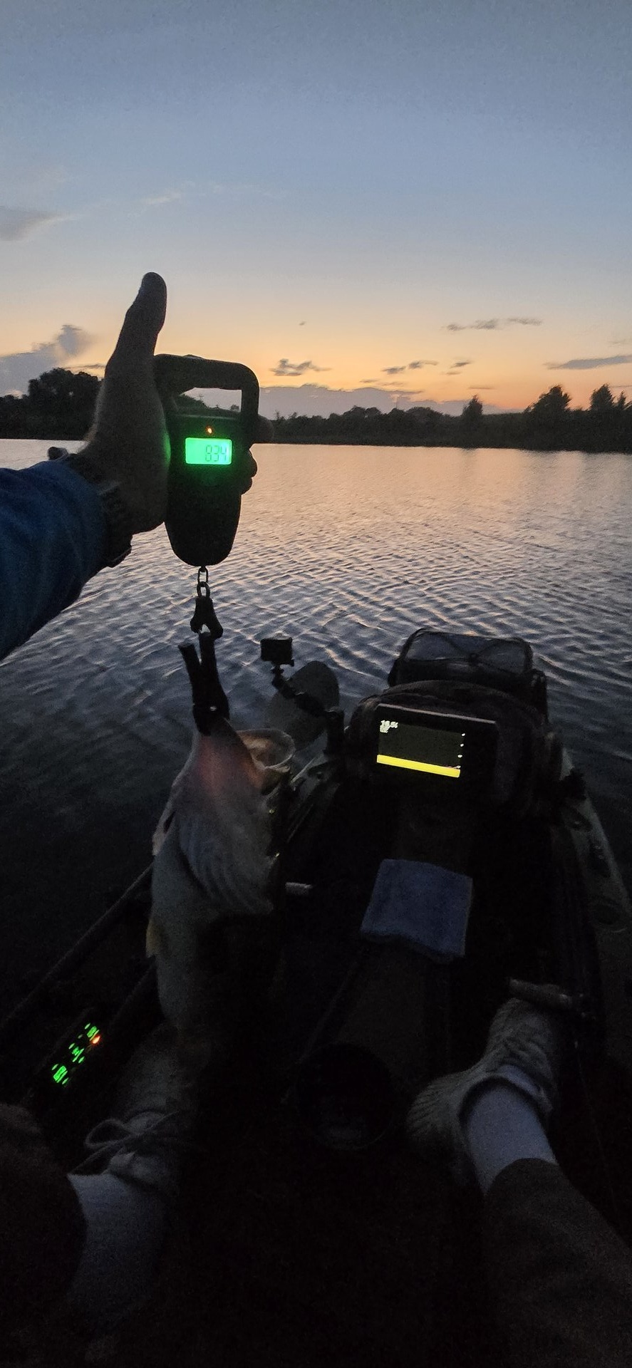 Largemouth Bass