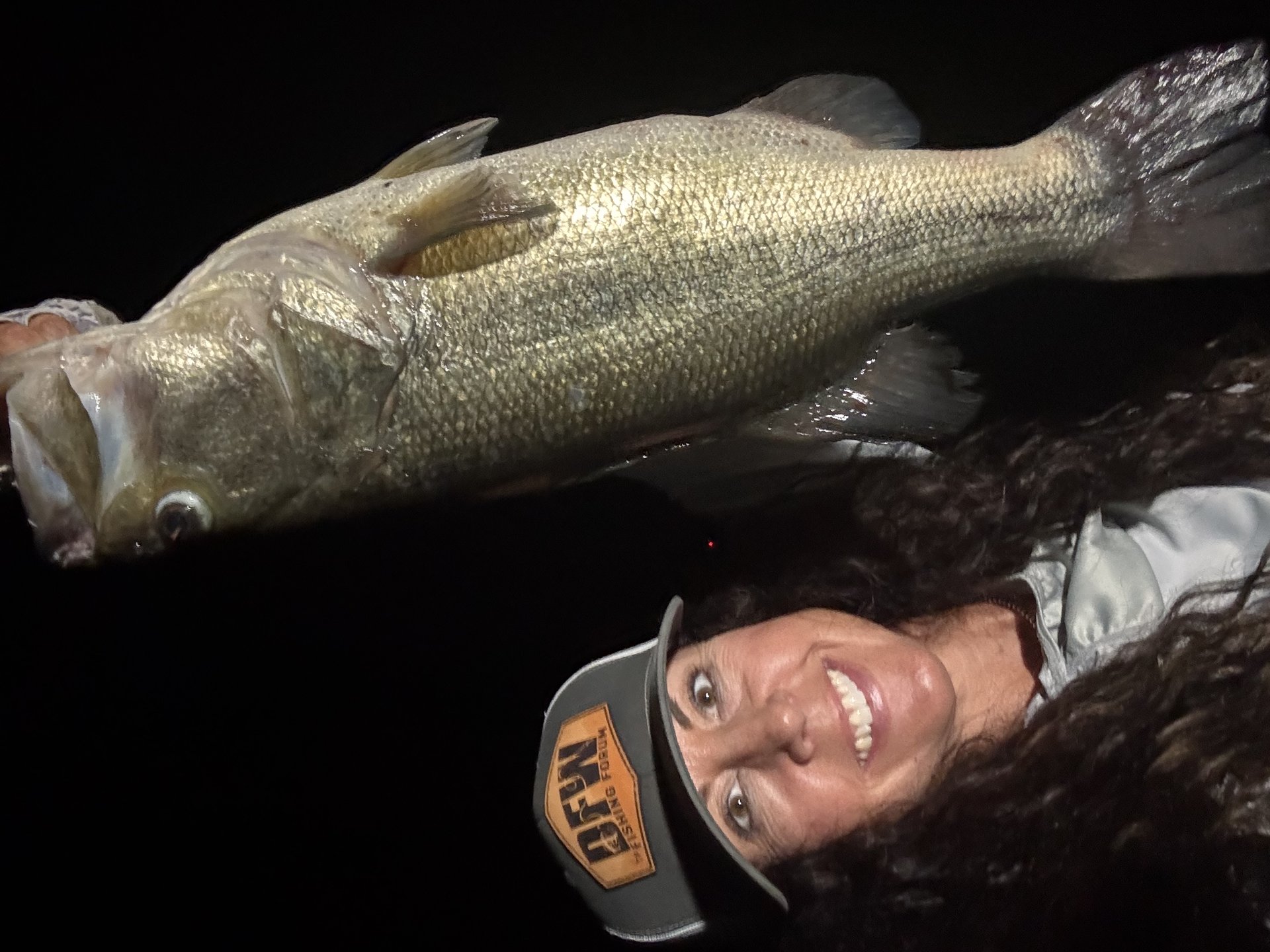 Largemouth Bass
