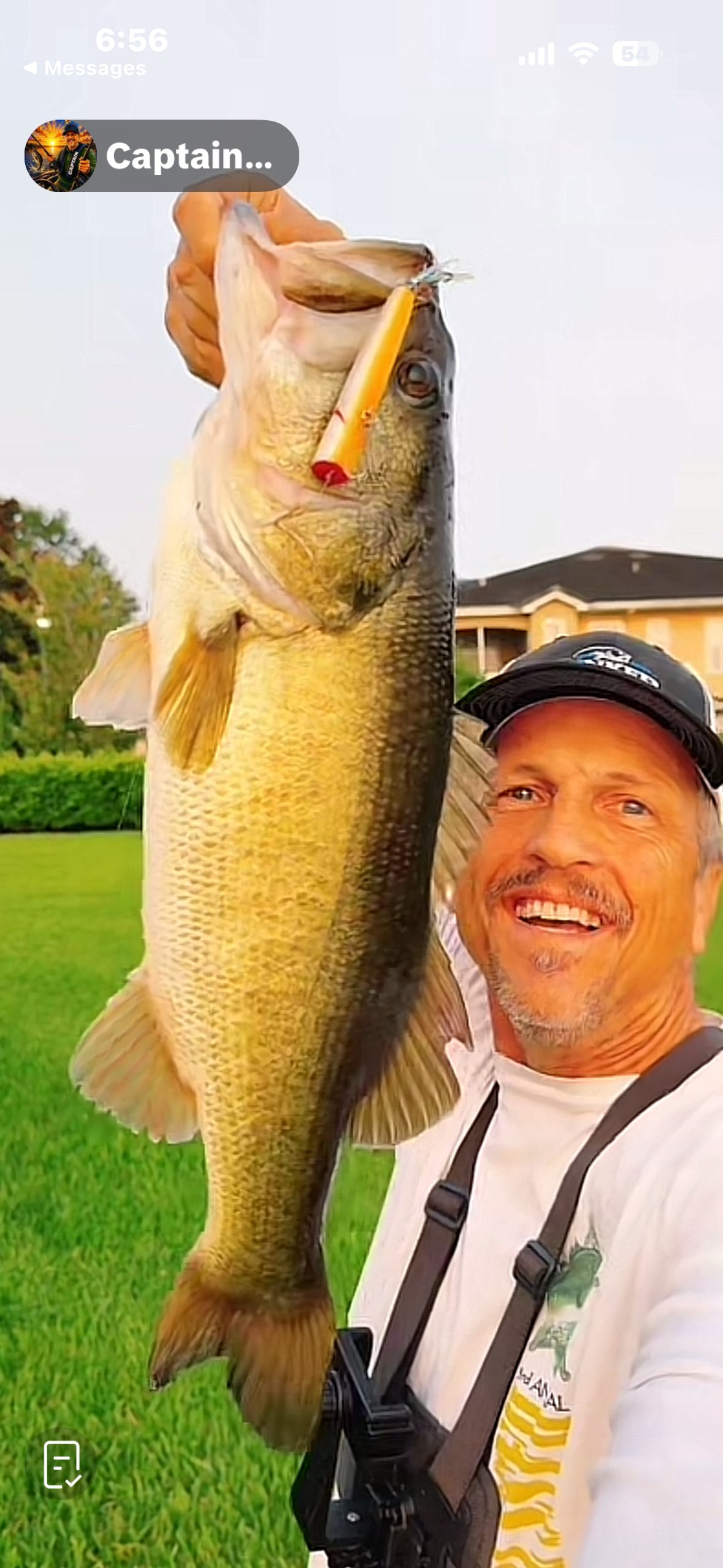 Largemouth Bass