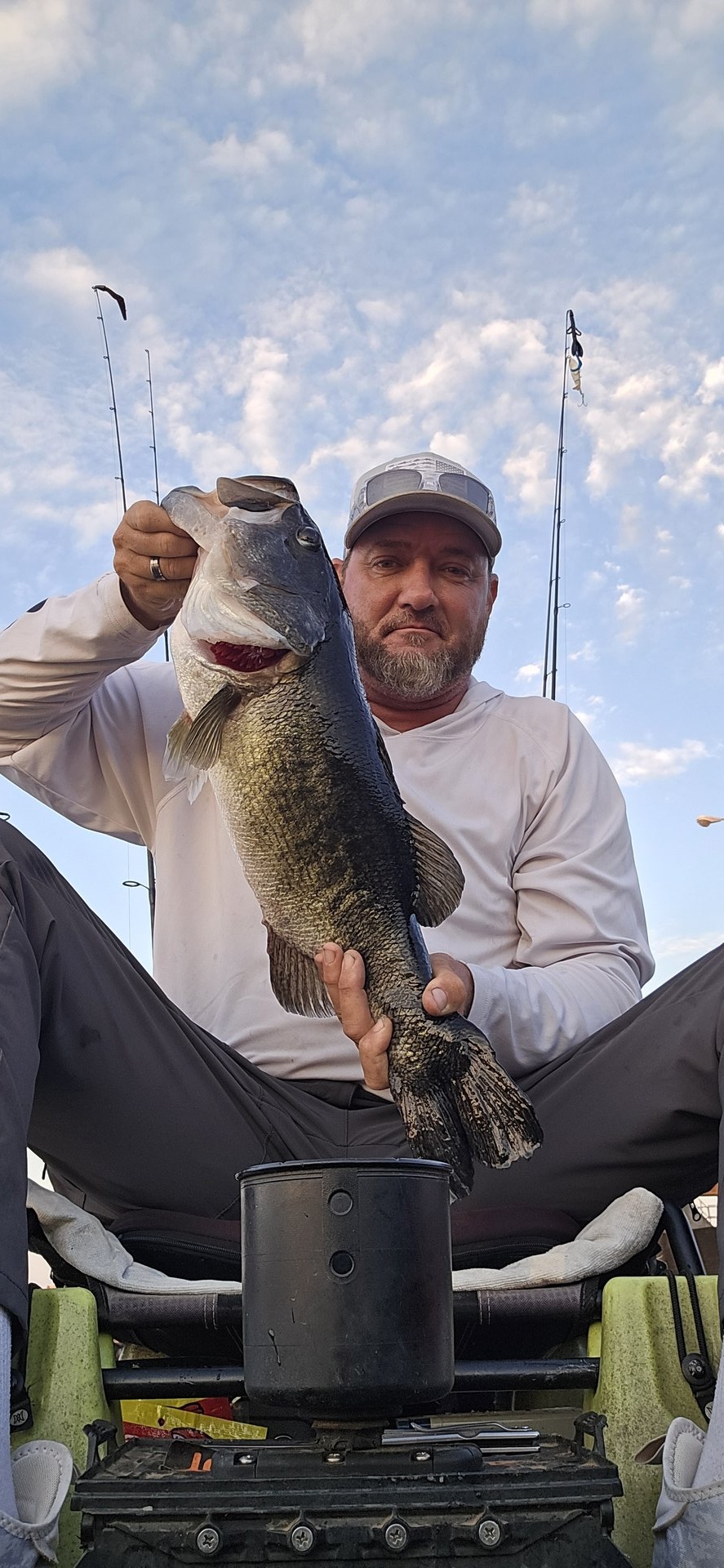 Largemouth Bass