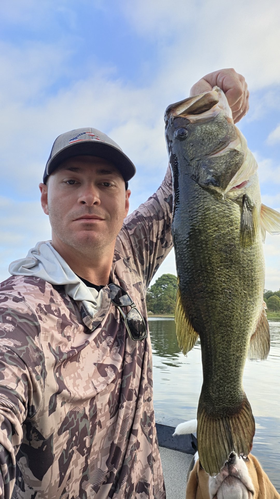 Blue_Collarbass