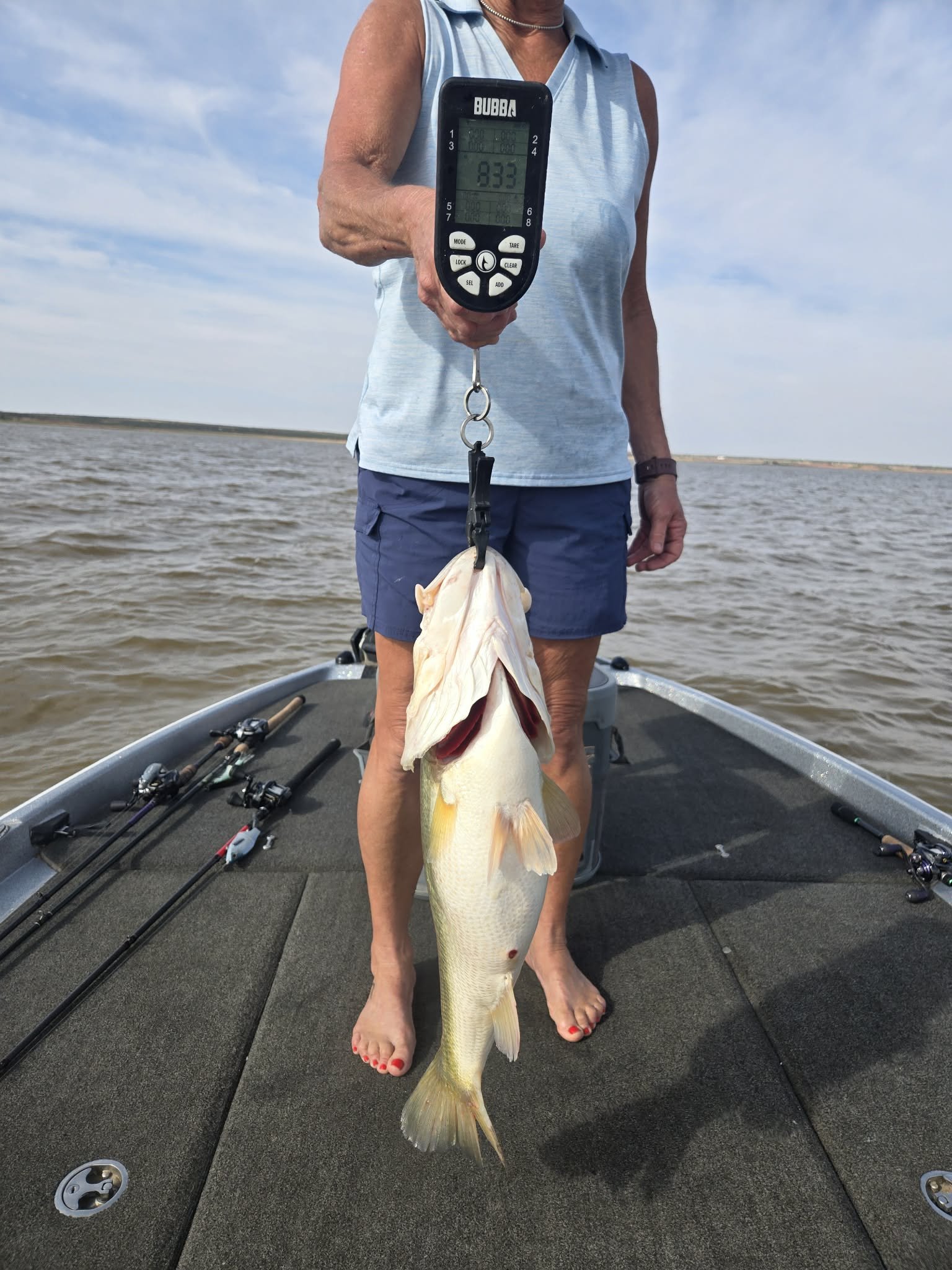 Largemouth Bass
