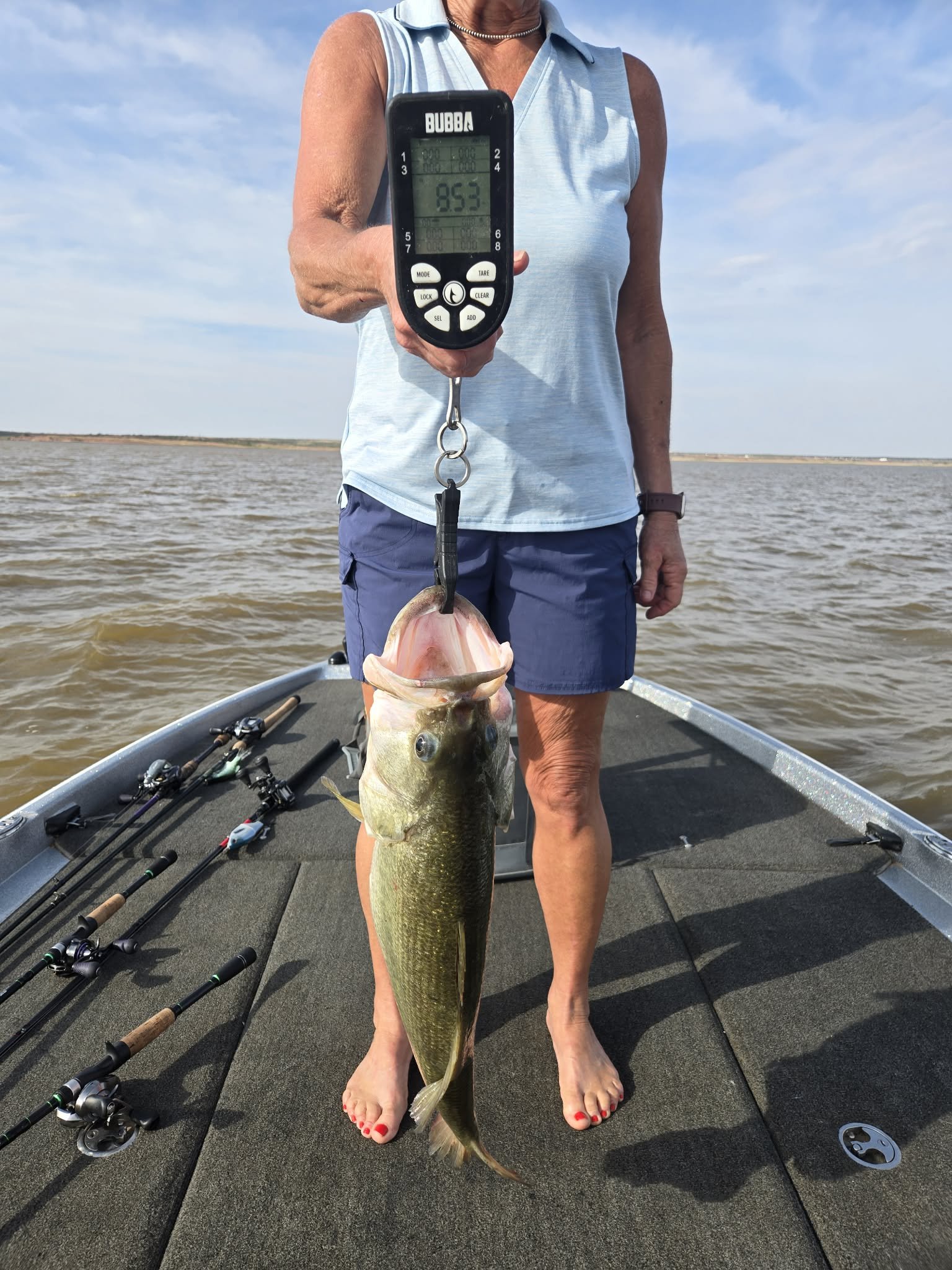 Largemouth Bass