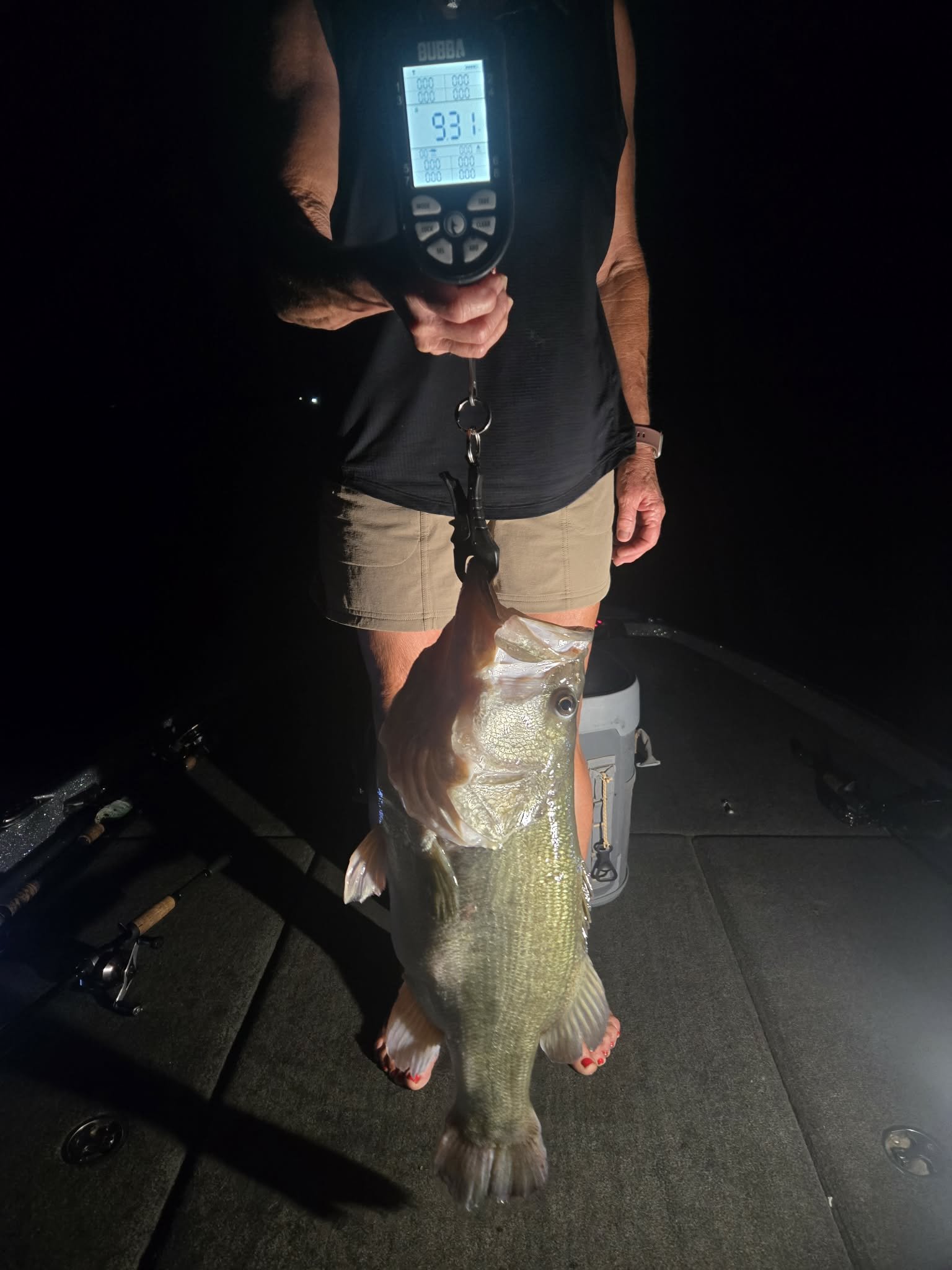 Largemouth Bass