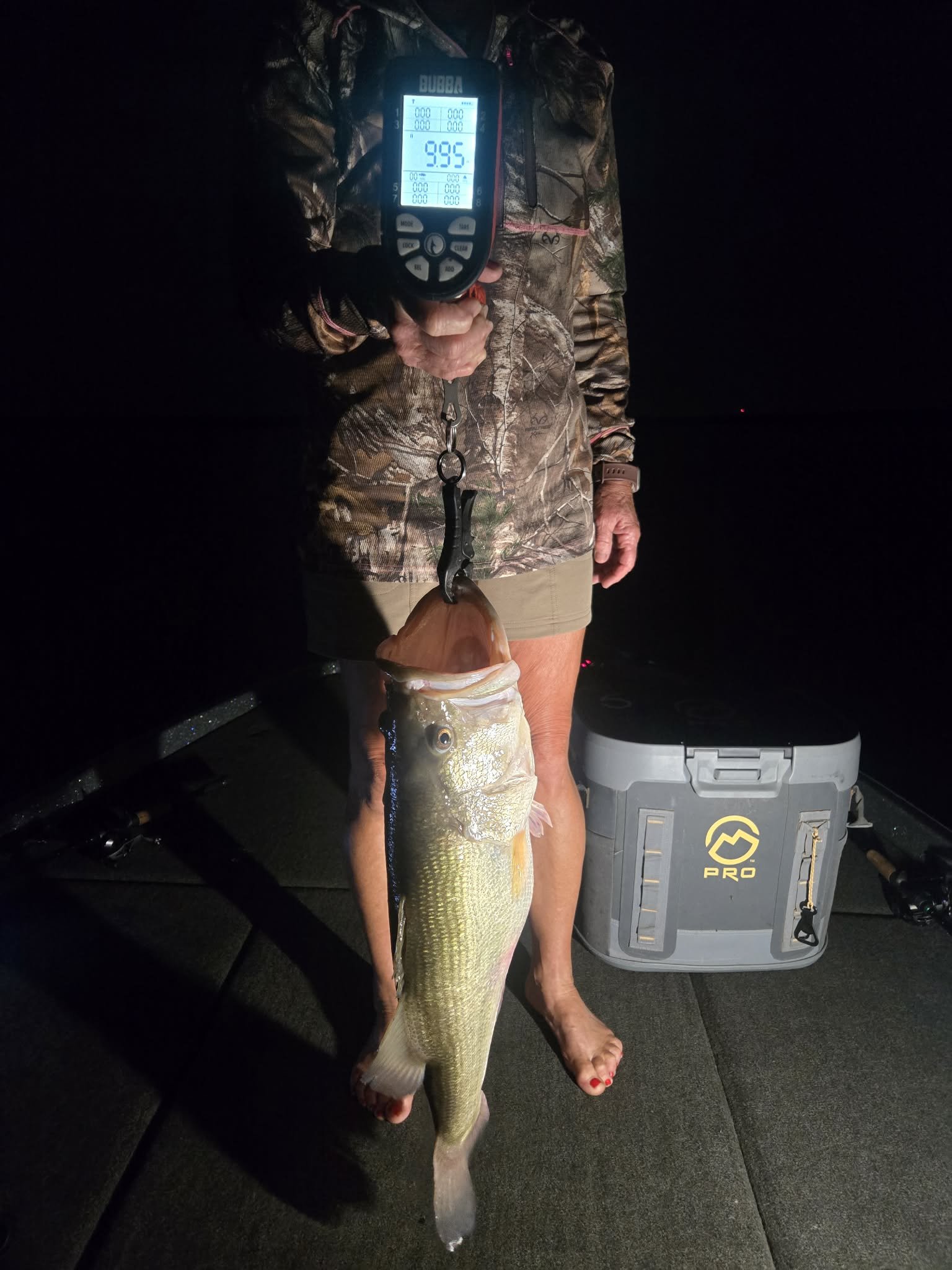 Largemouth Bass