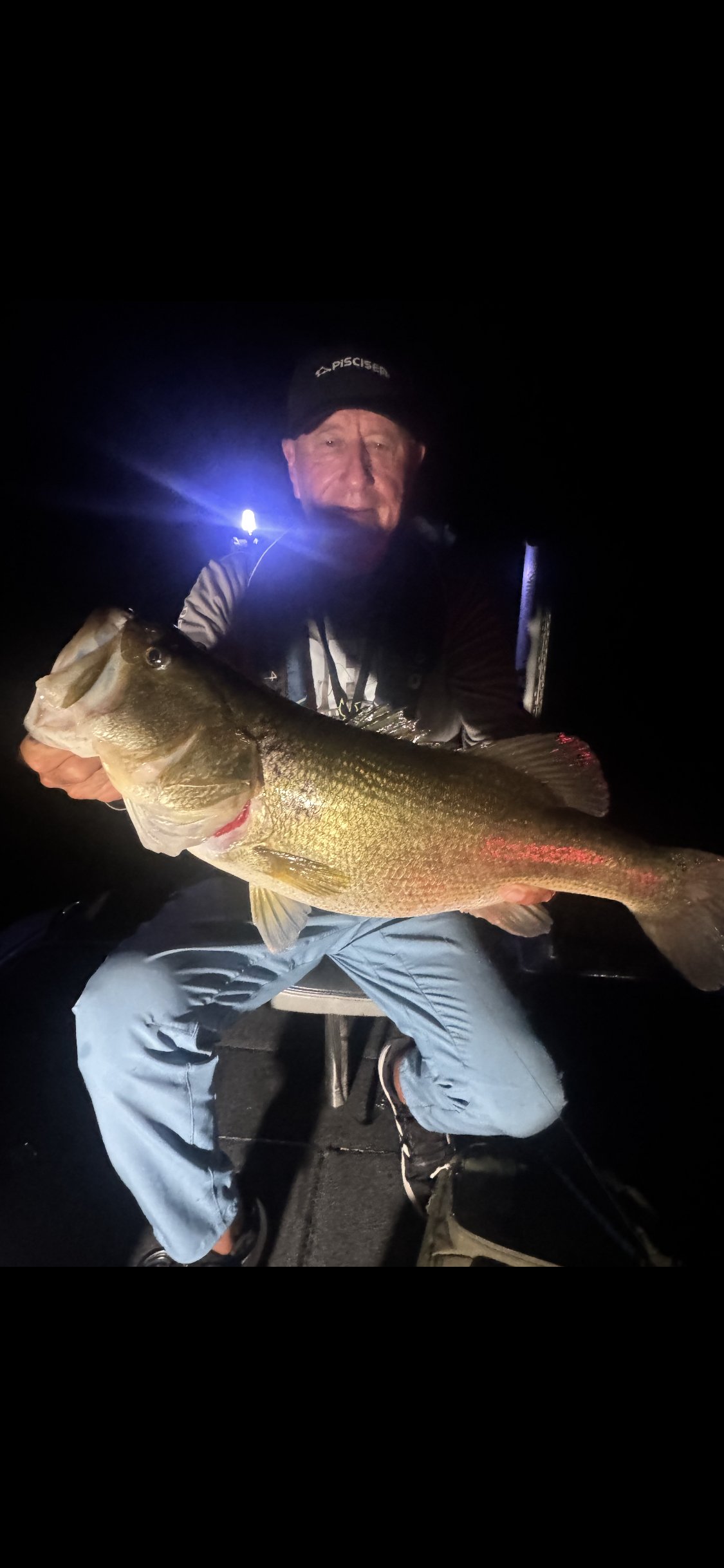 Largemouth Bass