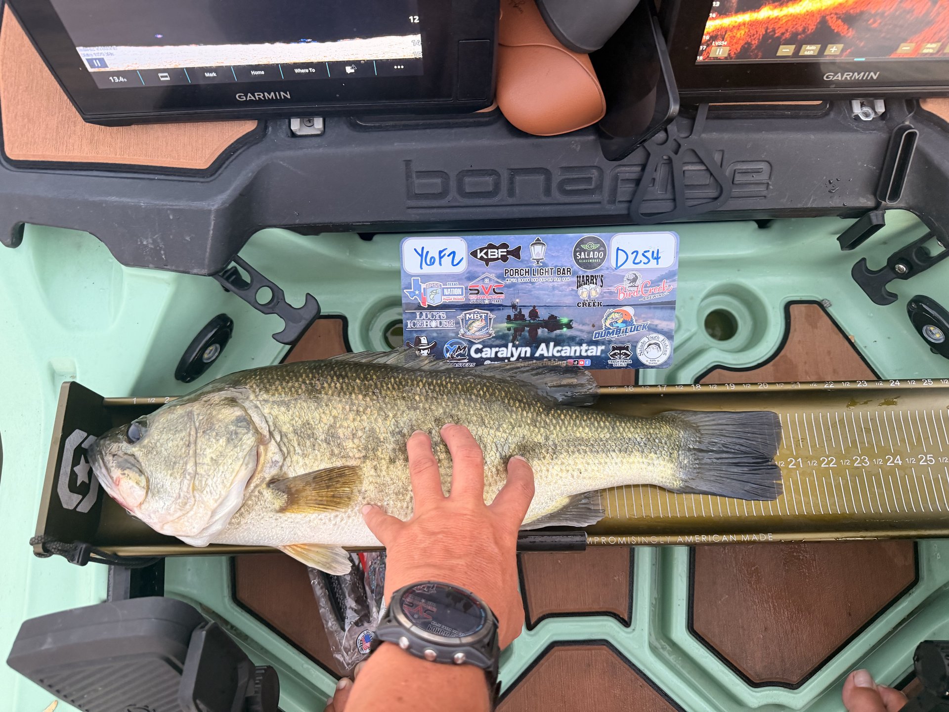 Largemouth Bass
