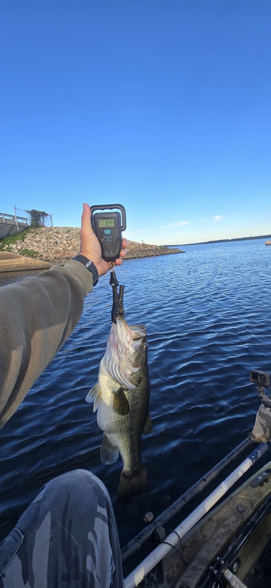 Largemouth Bass