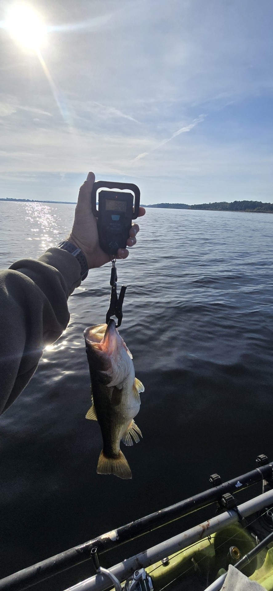 Largemouth Bass catch photo 2