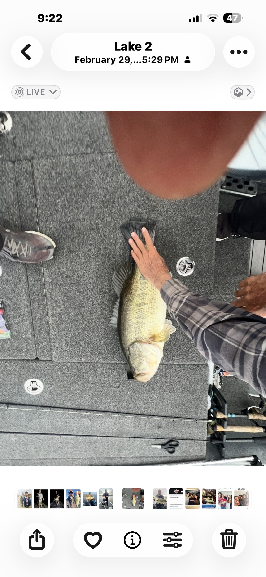 Louie Cruz · Fish on Scale