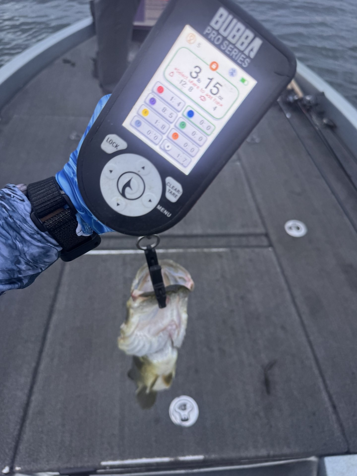 Largemouth Bass