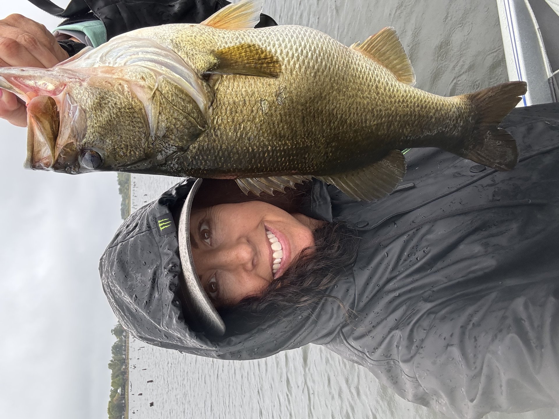 Largemouth Bass