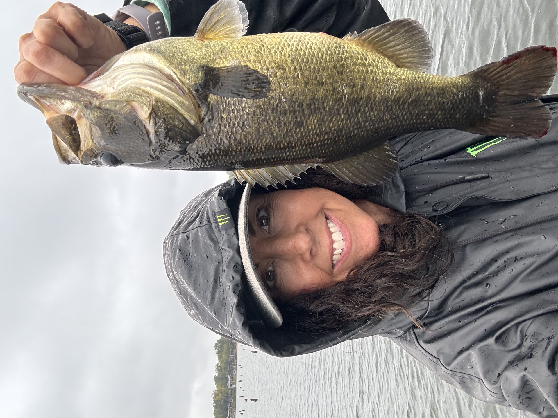 Largemouth Bass