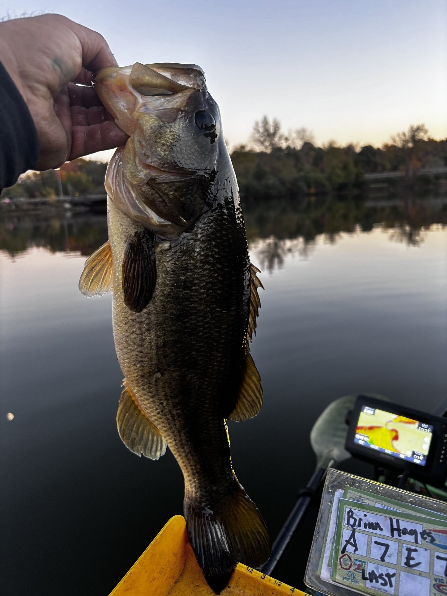 Largemouth Bass catch photo 1