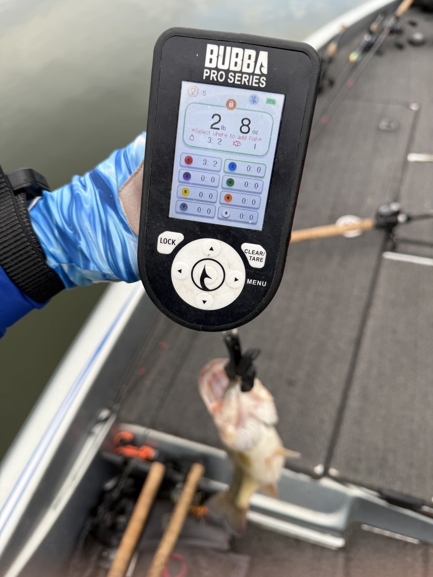Largemouth Bass catch photo 2