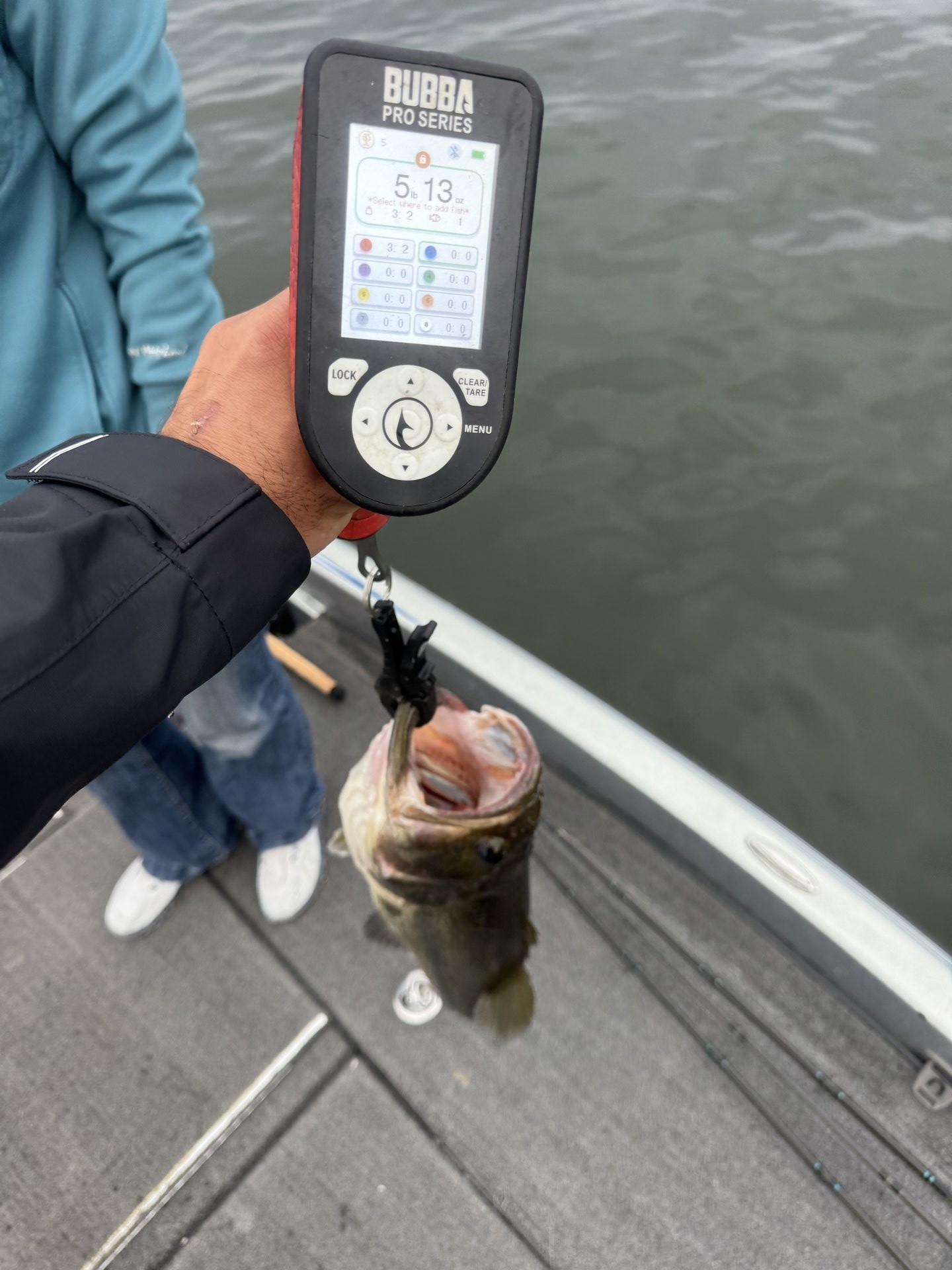 Largemouth Bass catch photo 2