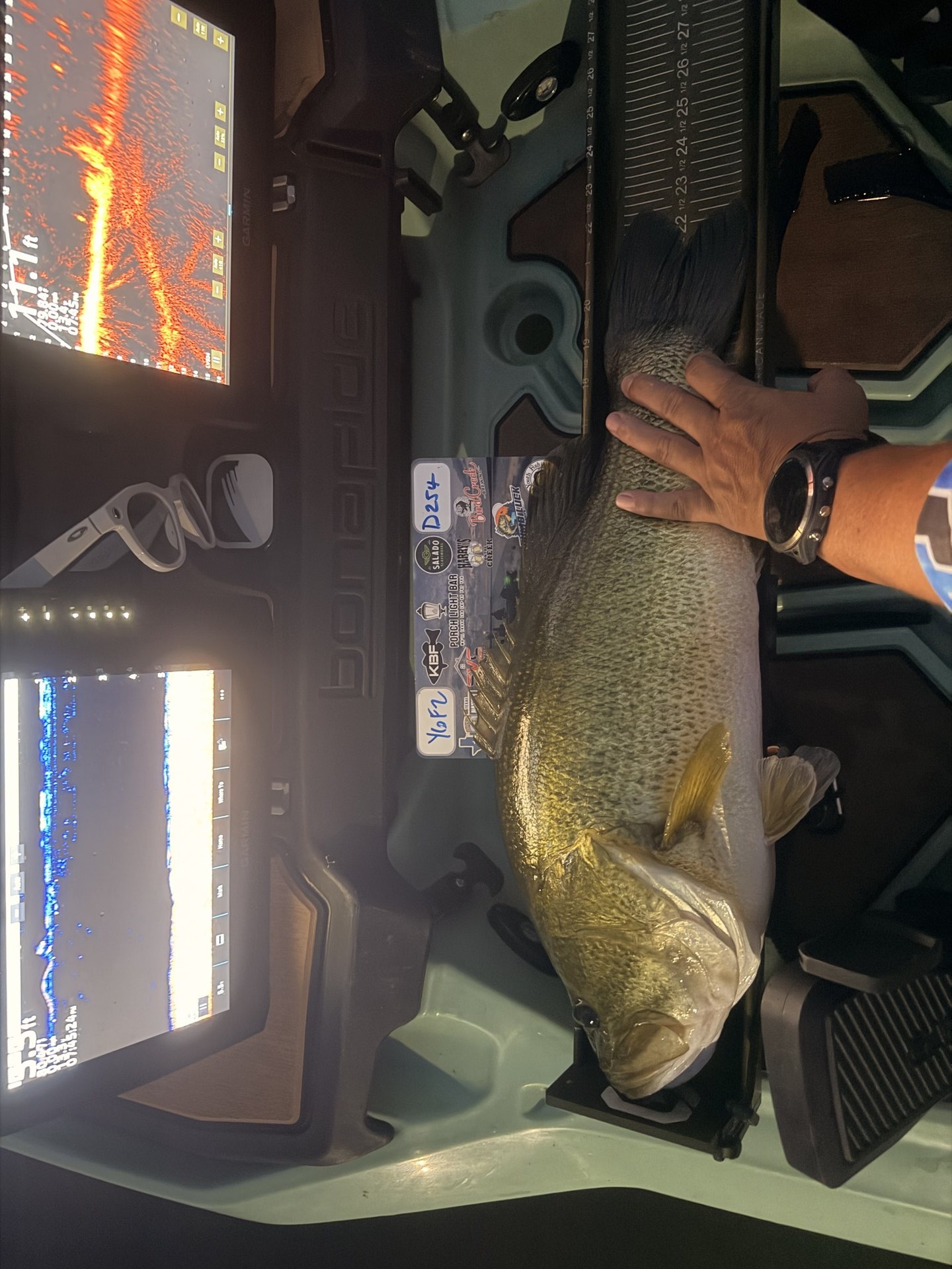 Largemouth Bass