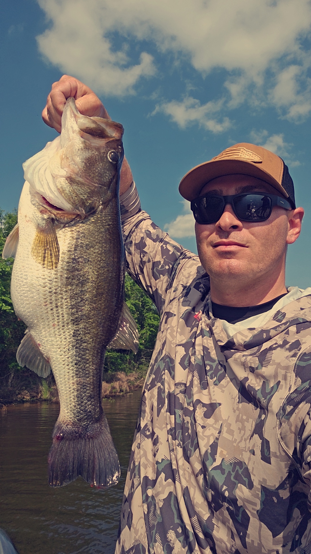 Blue_Collarbass